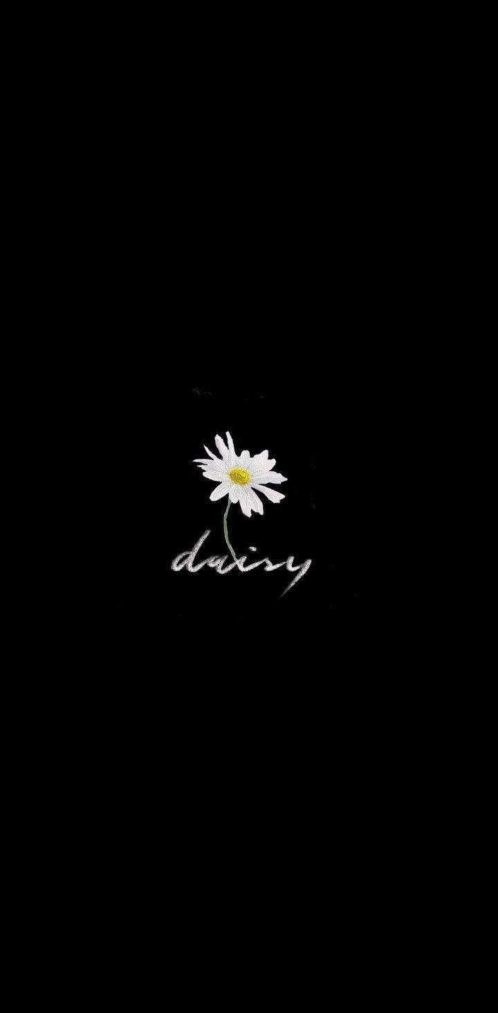 Tiny Daisy Aesthetic