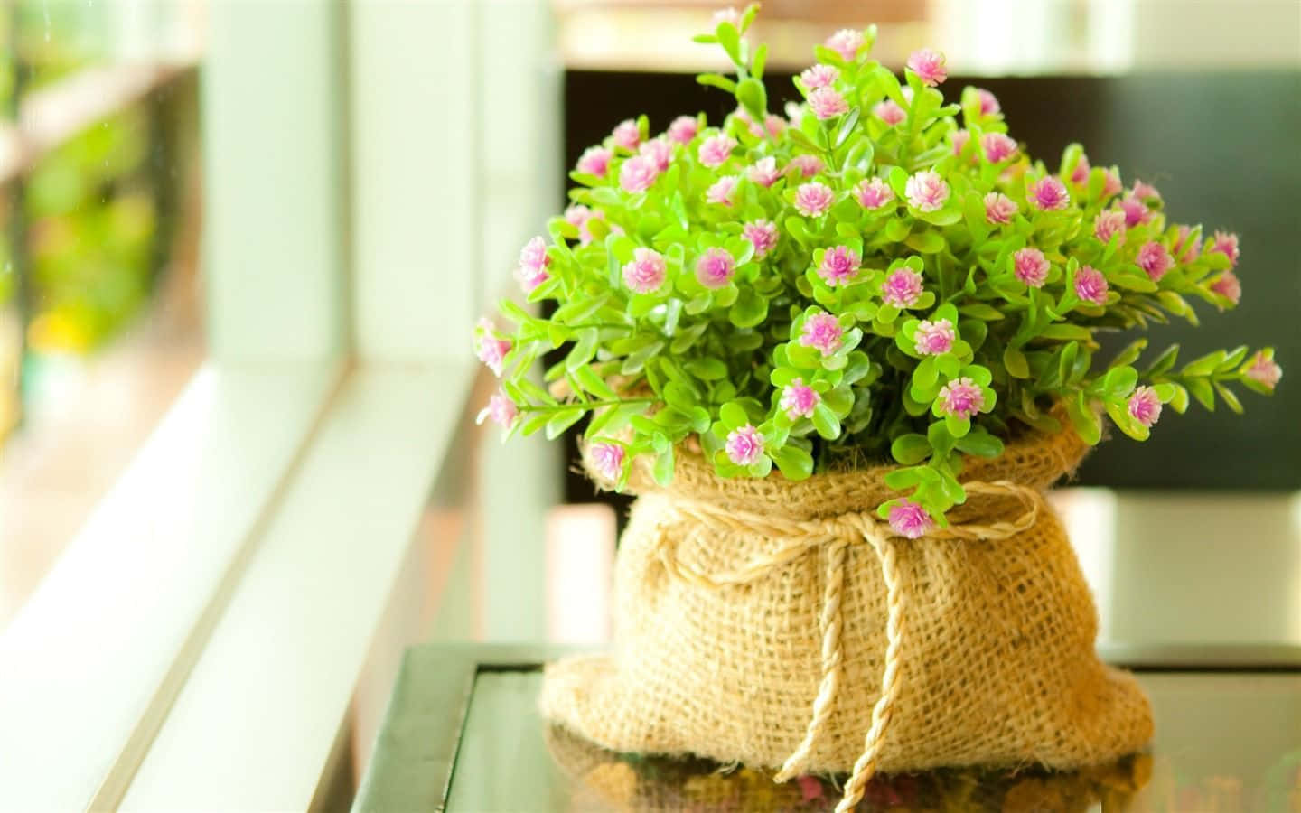 Tiny Flowers Beside Window Cute Floral Background