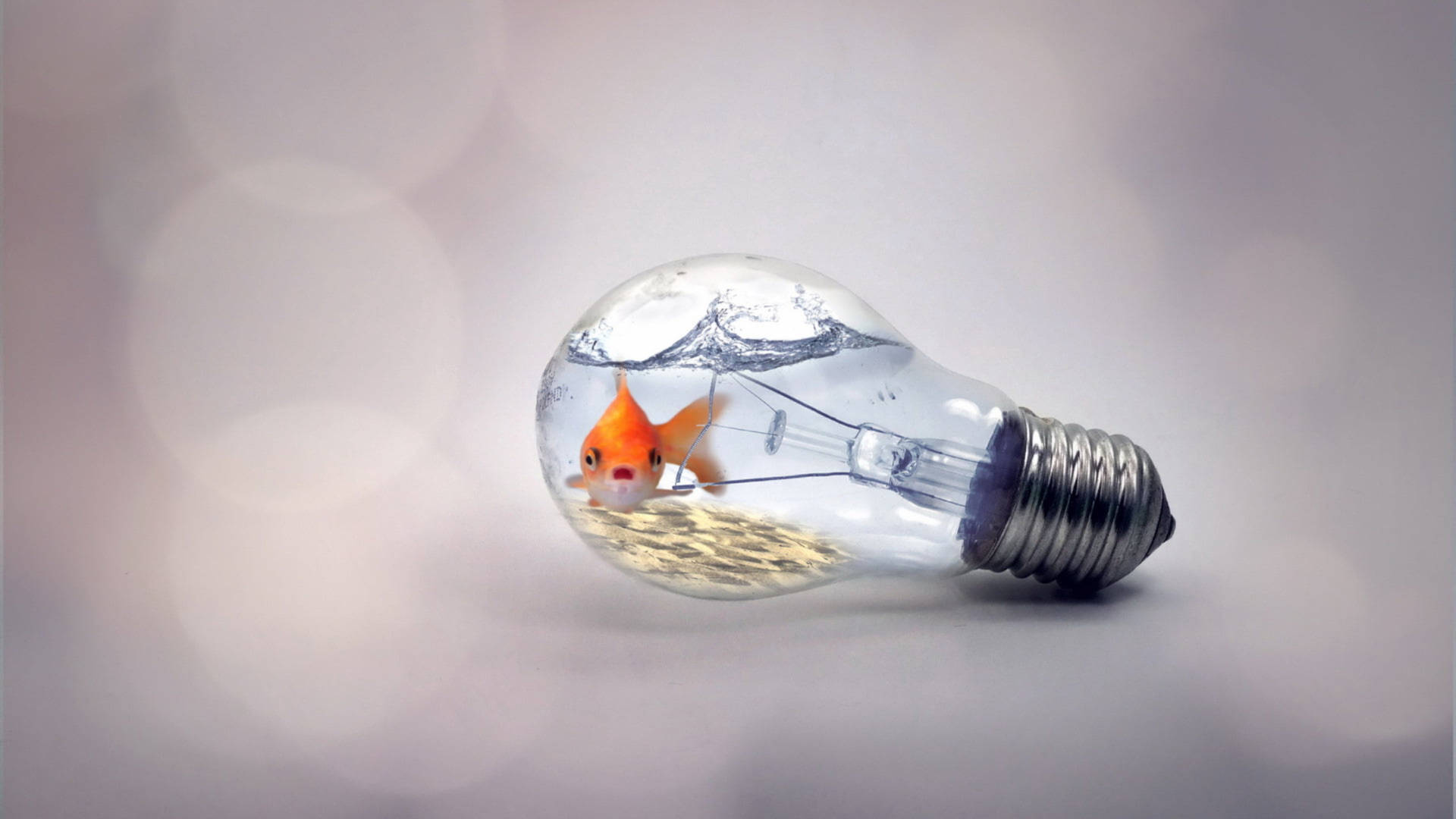 Tiny Goldfish In A Bulb Background