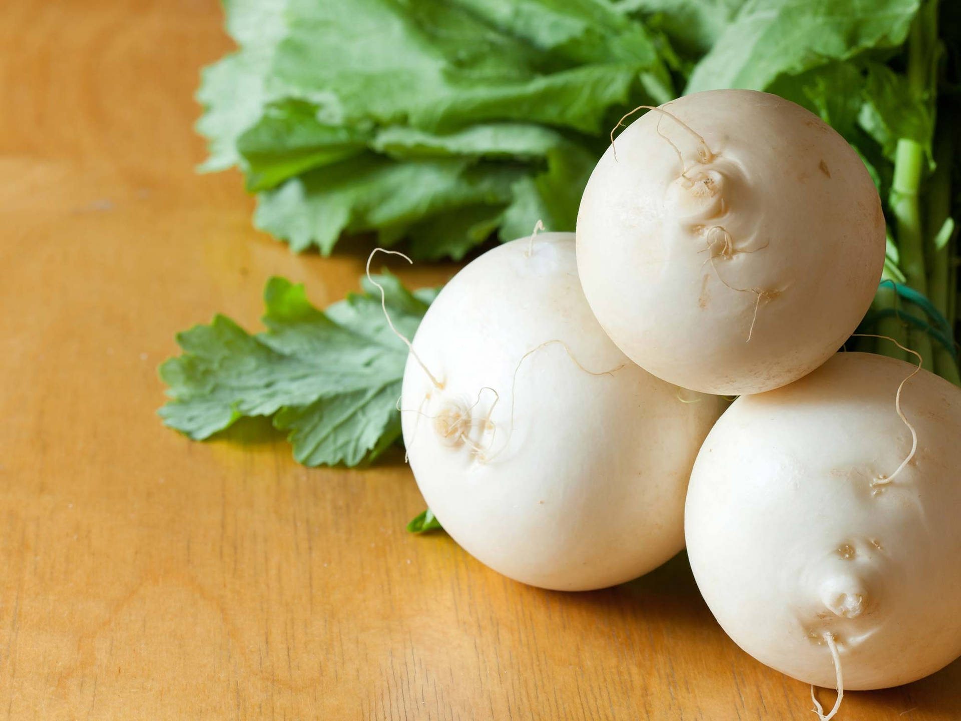 Tiny Roots White Turnips Background