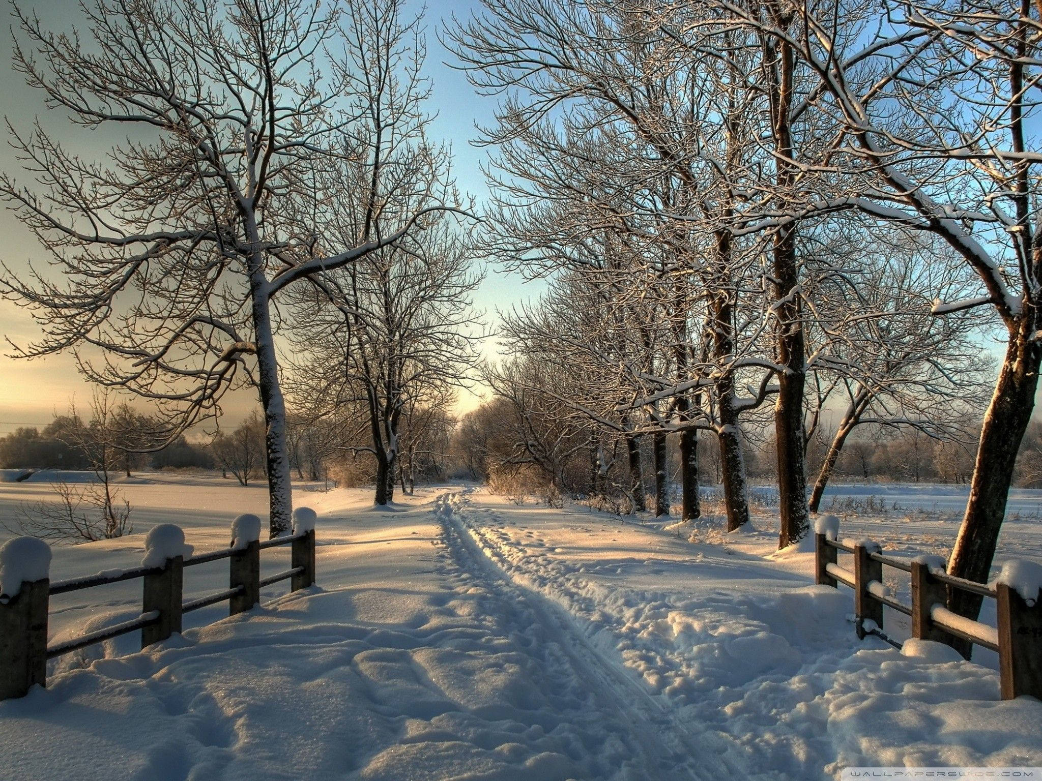 Tire Tracks In Snow Winter Scenery Background