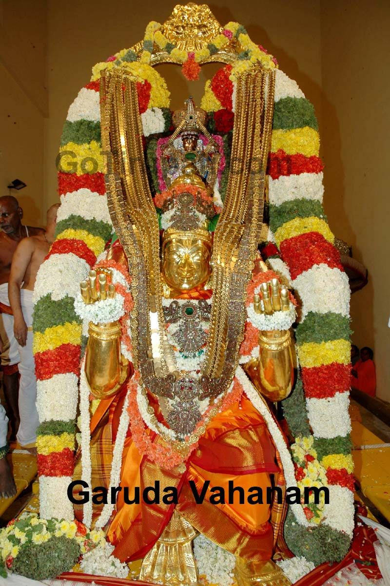 Tirupati Balaji Garuda Vahanam Background