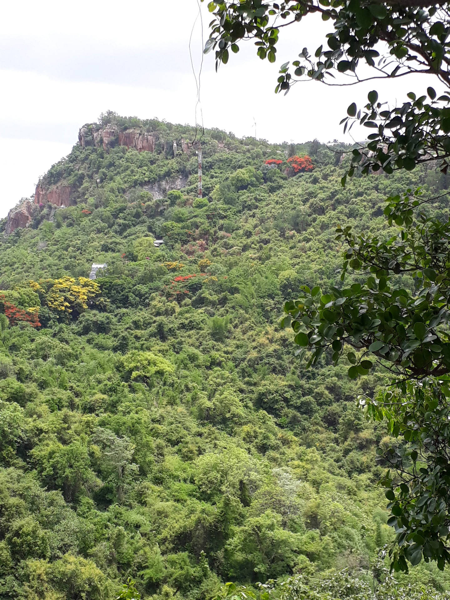 Tirupati Balaji Surrounding Nature Background