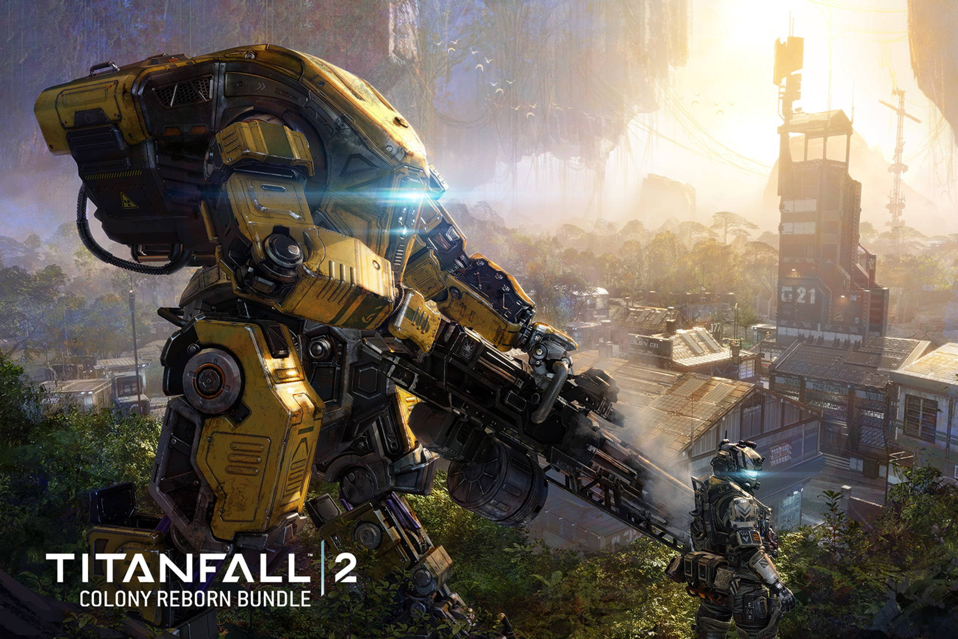 Titanfall Yellow Background