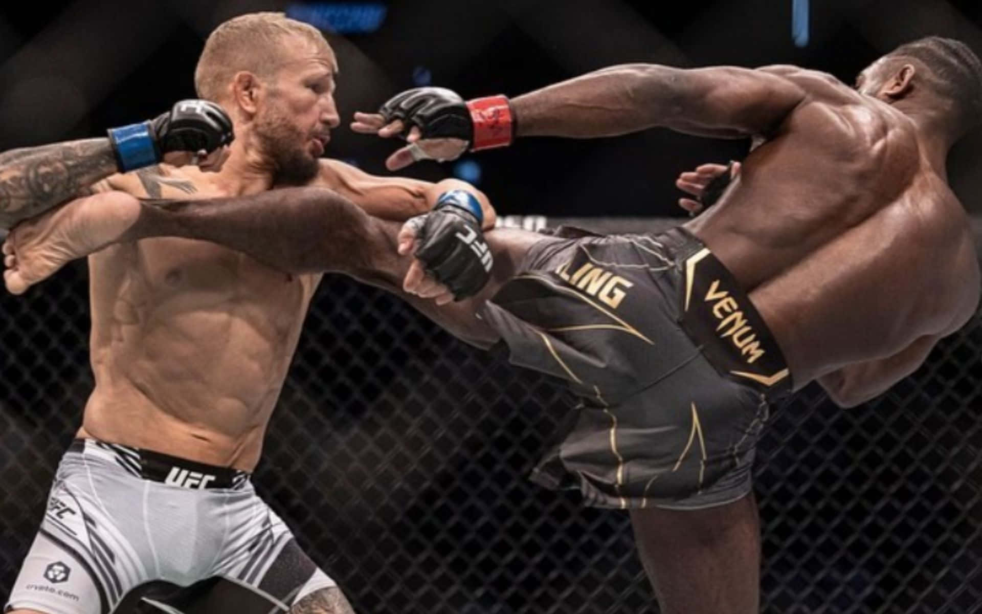 Tj Dillashaw And Aljamain Sterling Fight