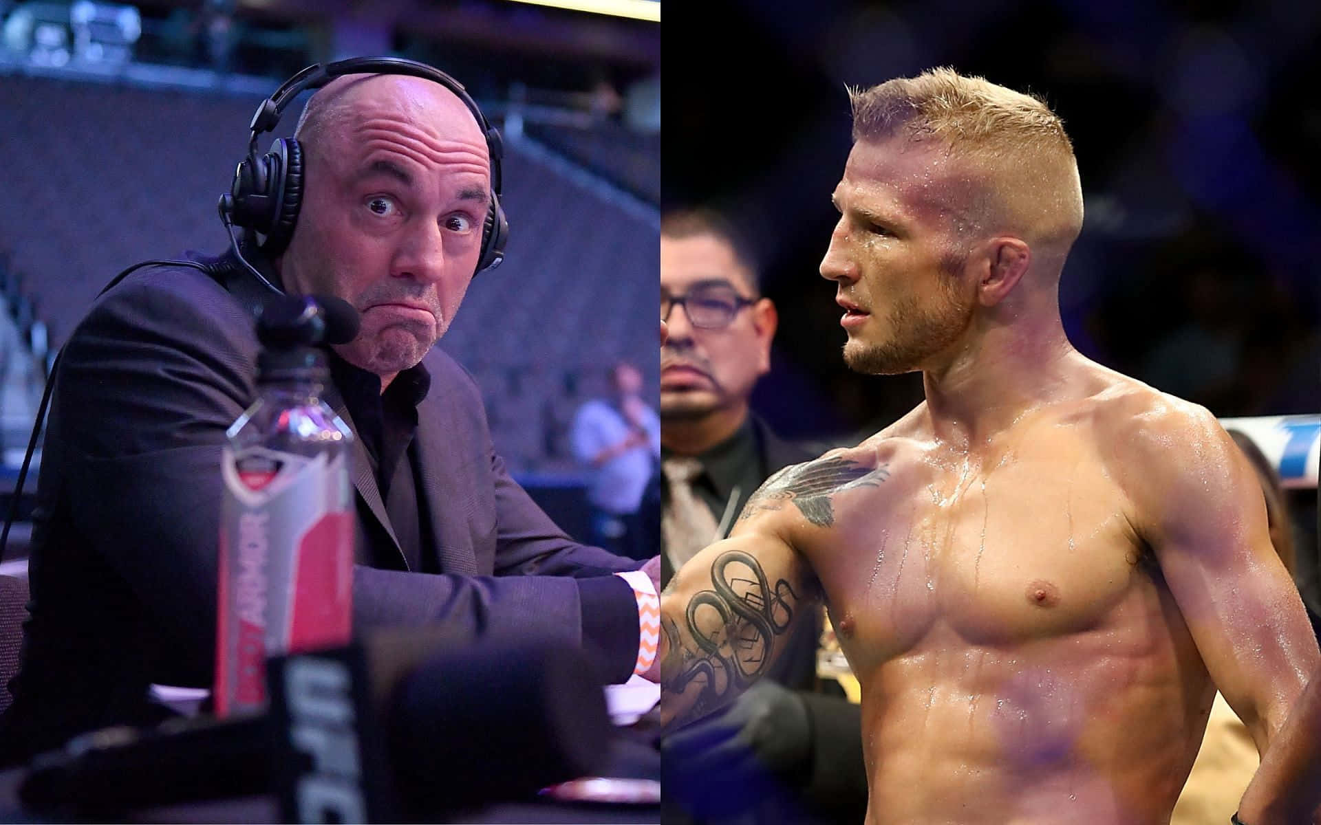 Tj Dillashaw And Commentator Joe Rogan Background