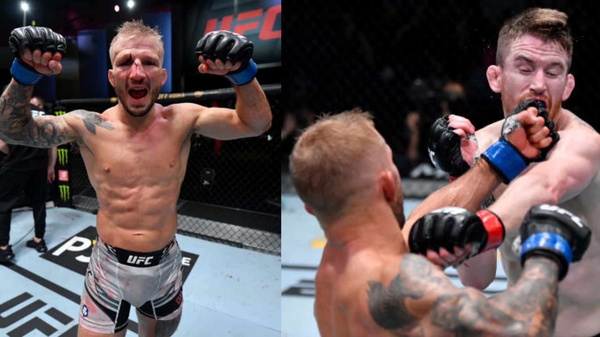 Tj Dillashaw And Cory Sandhagen Background