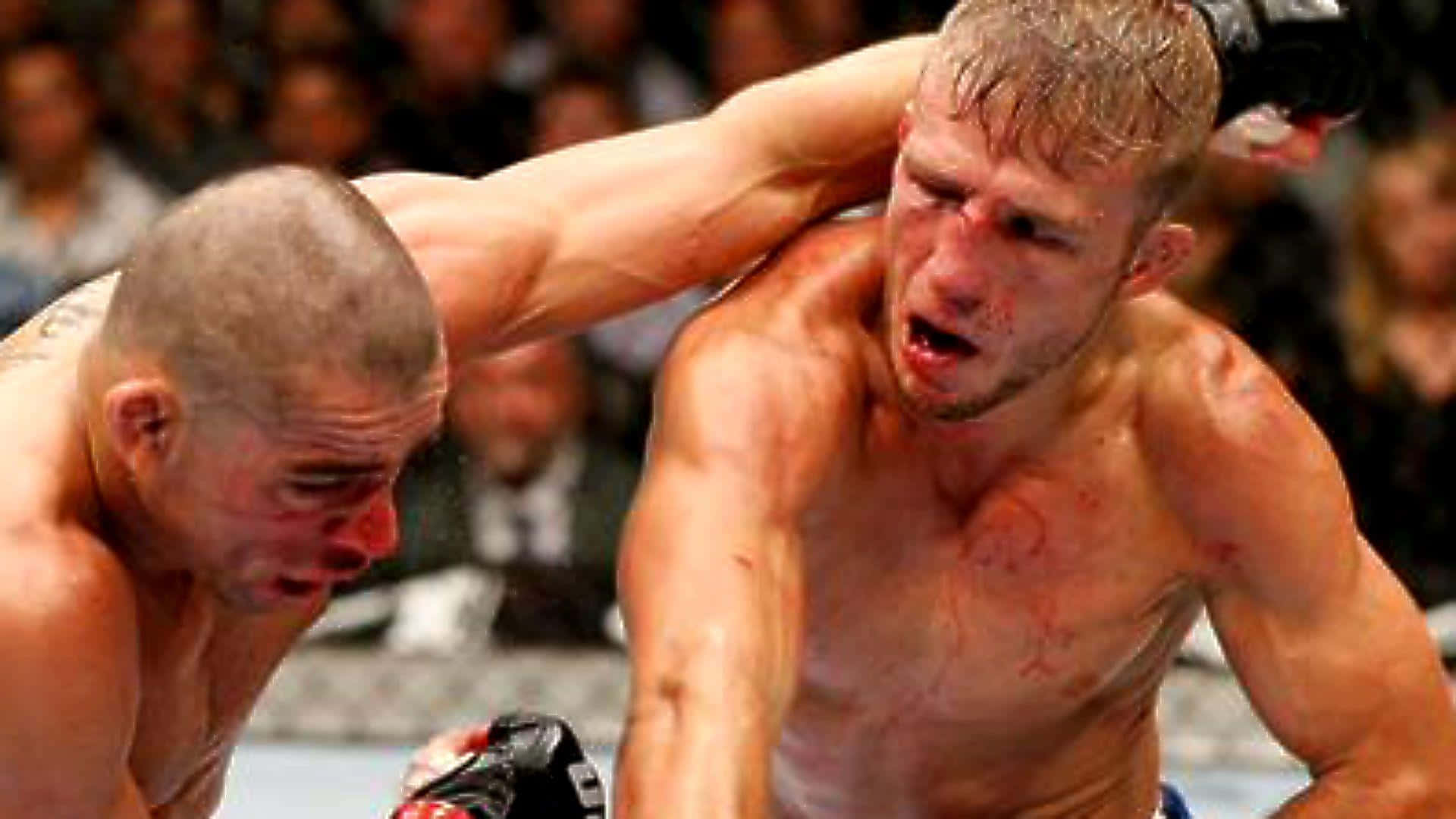 Tj Dillashaw Bloody Face Ufc Background