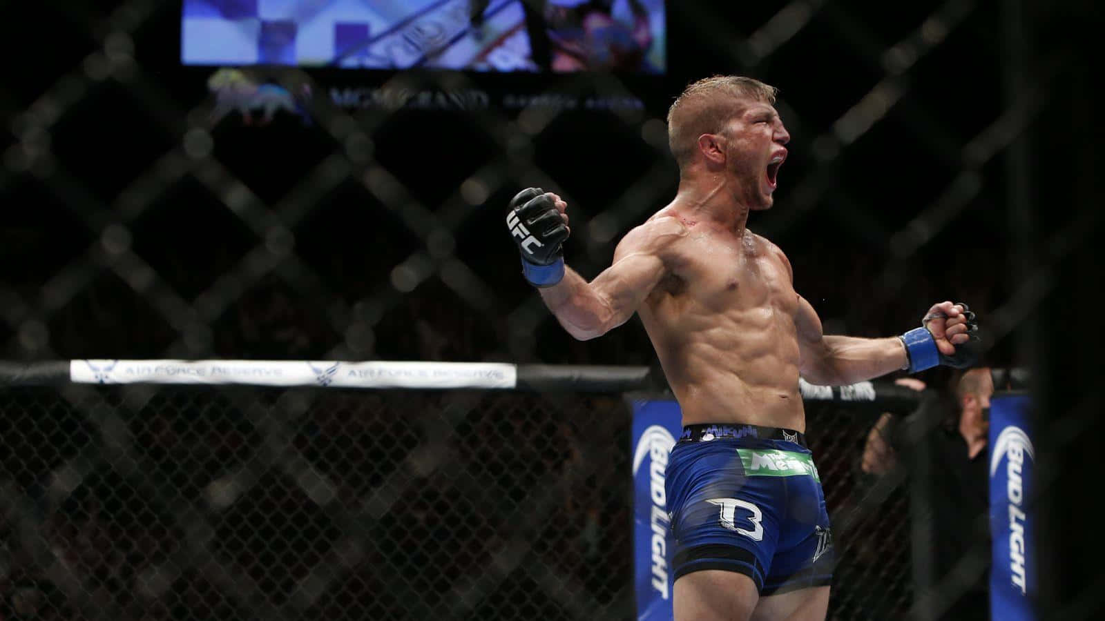 Tj Dillashaw During Ufc 177