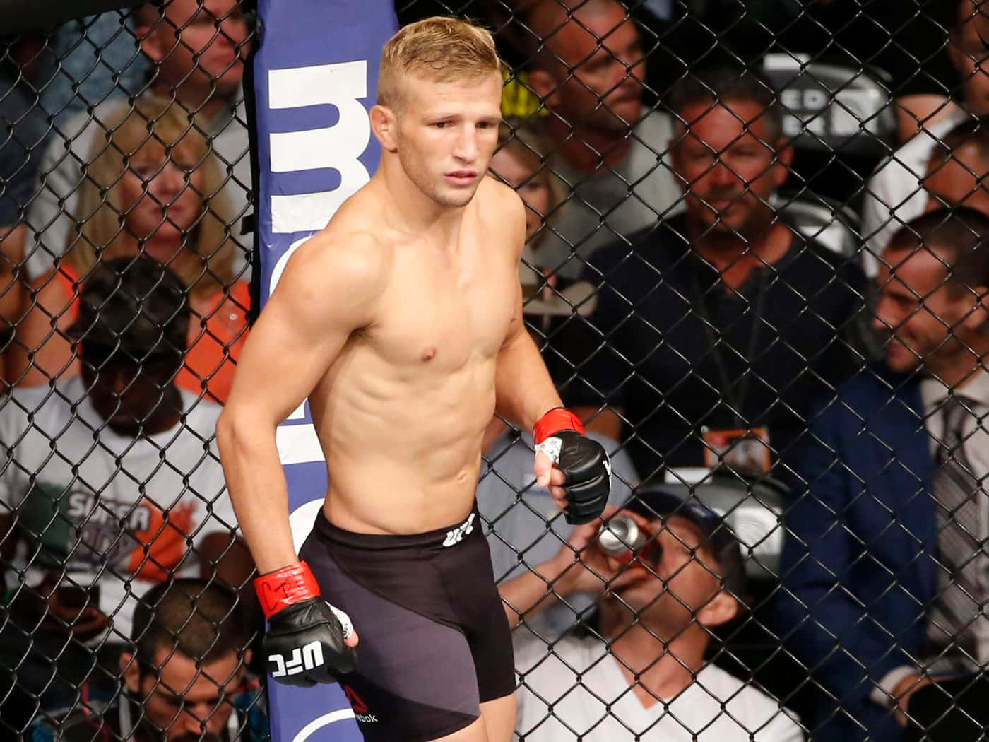 Tj Dillashaw During Ufc Fight Night