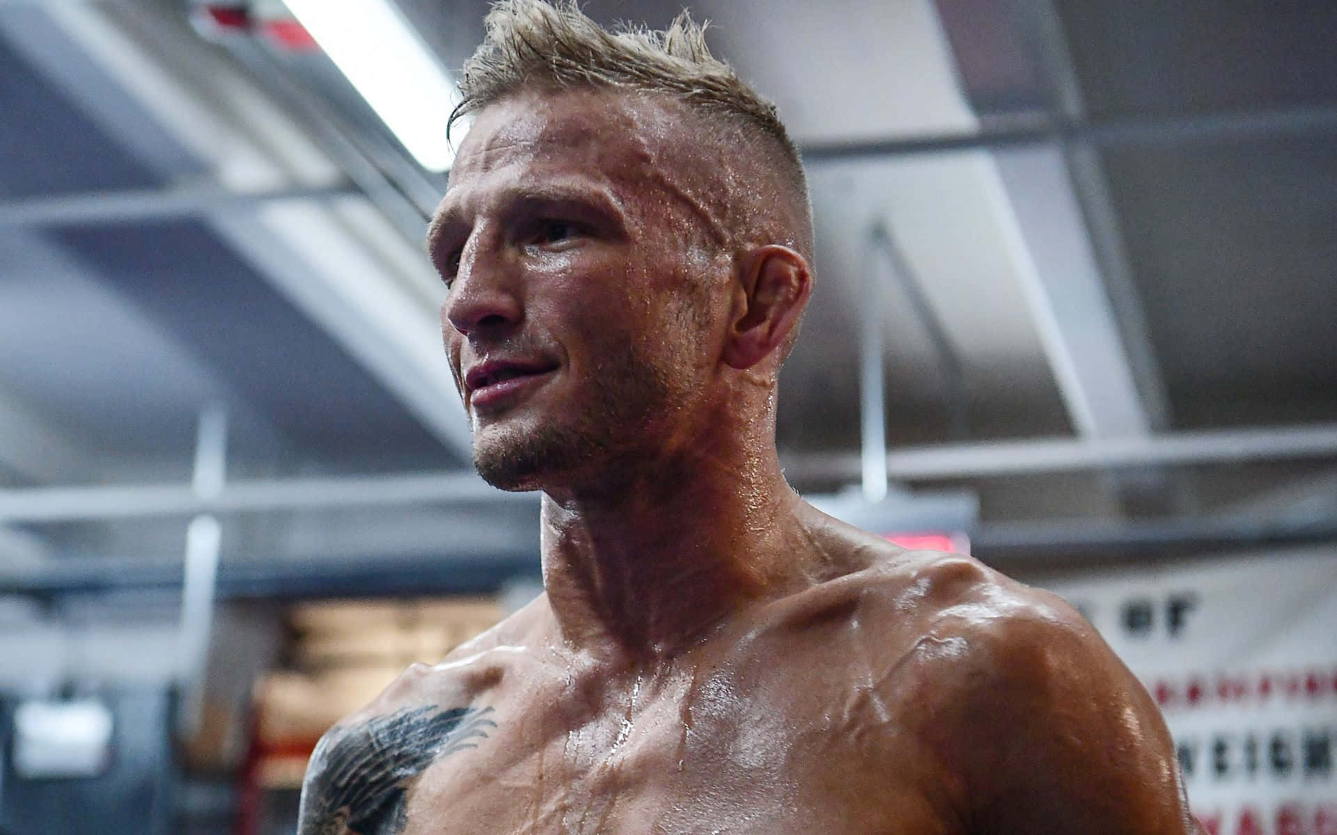 Tj Dillashaw Engaged In High-intensity Training Background