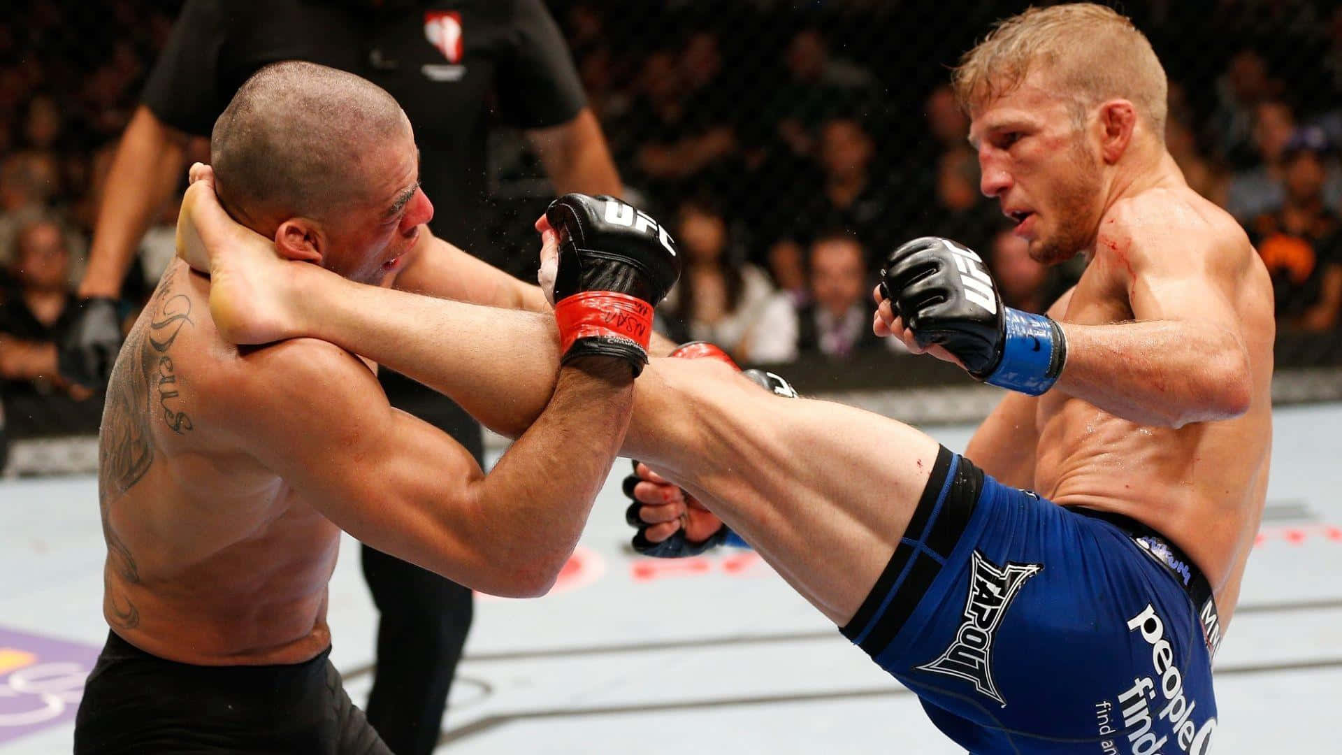 Tj Dillashaw High Kick Against Opponent Background