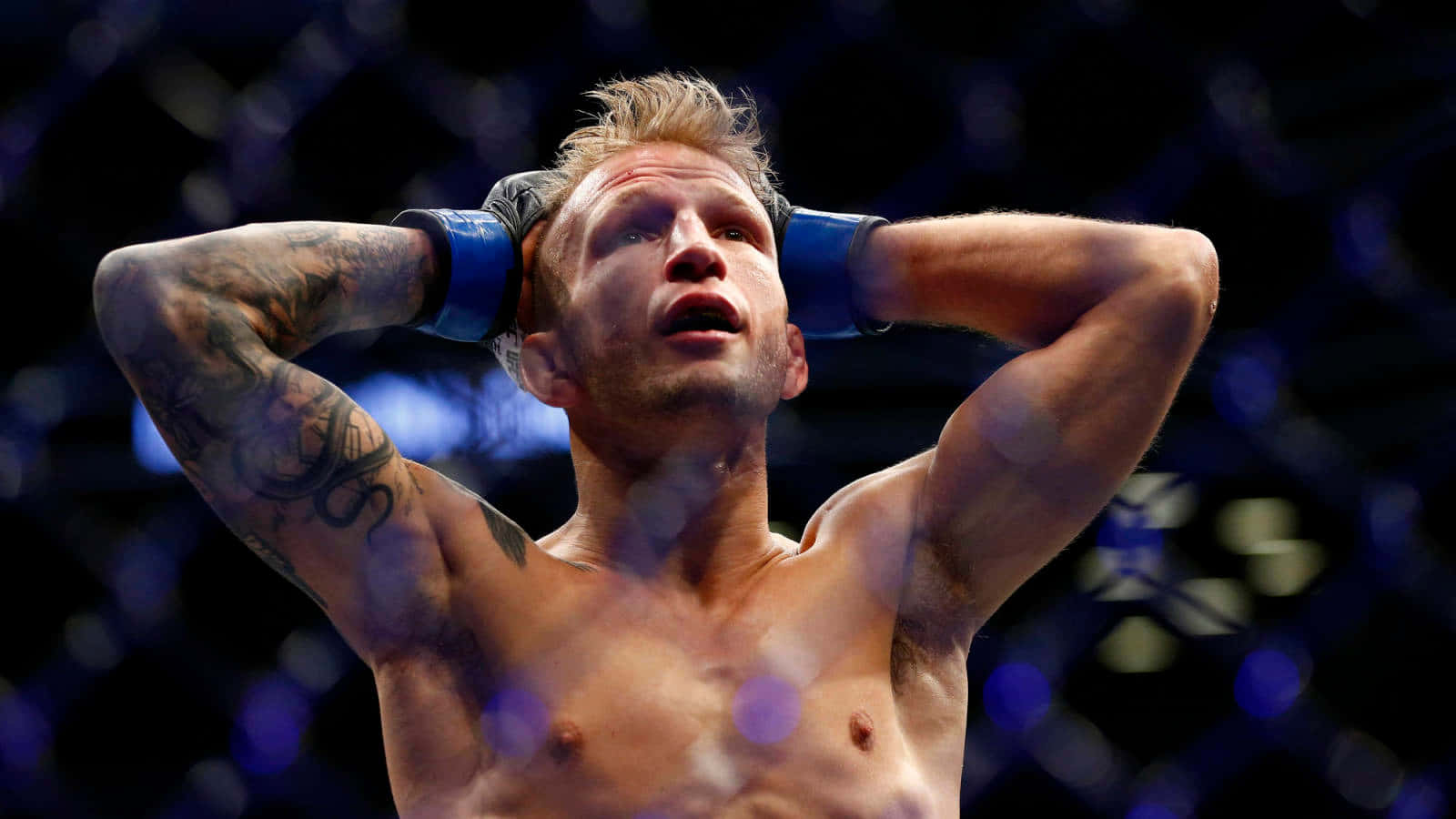 Tj Dillashaw Holding His Head Background