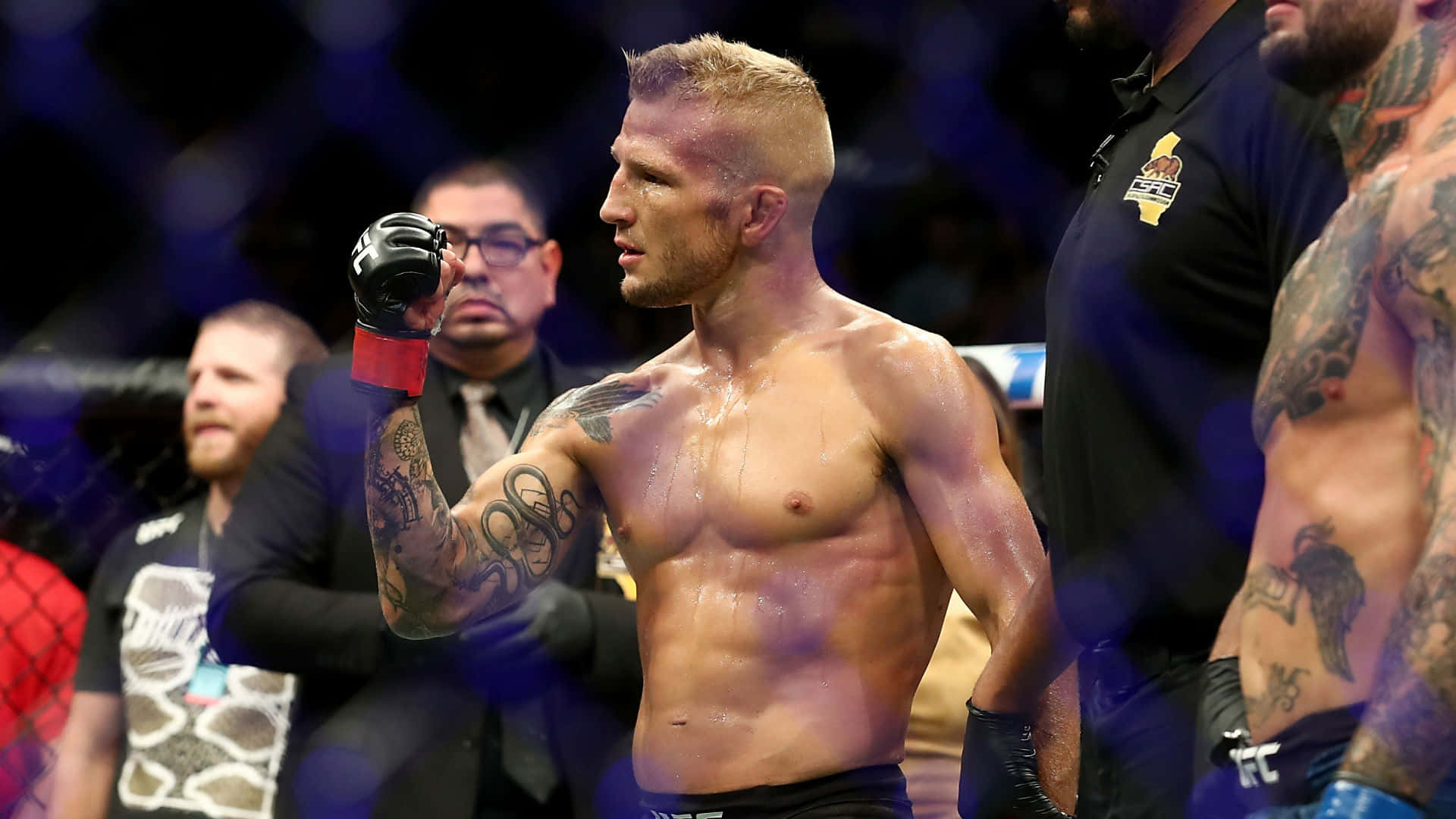 Tj Dillashaw In Ufc Octagon