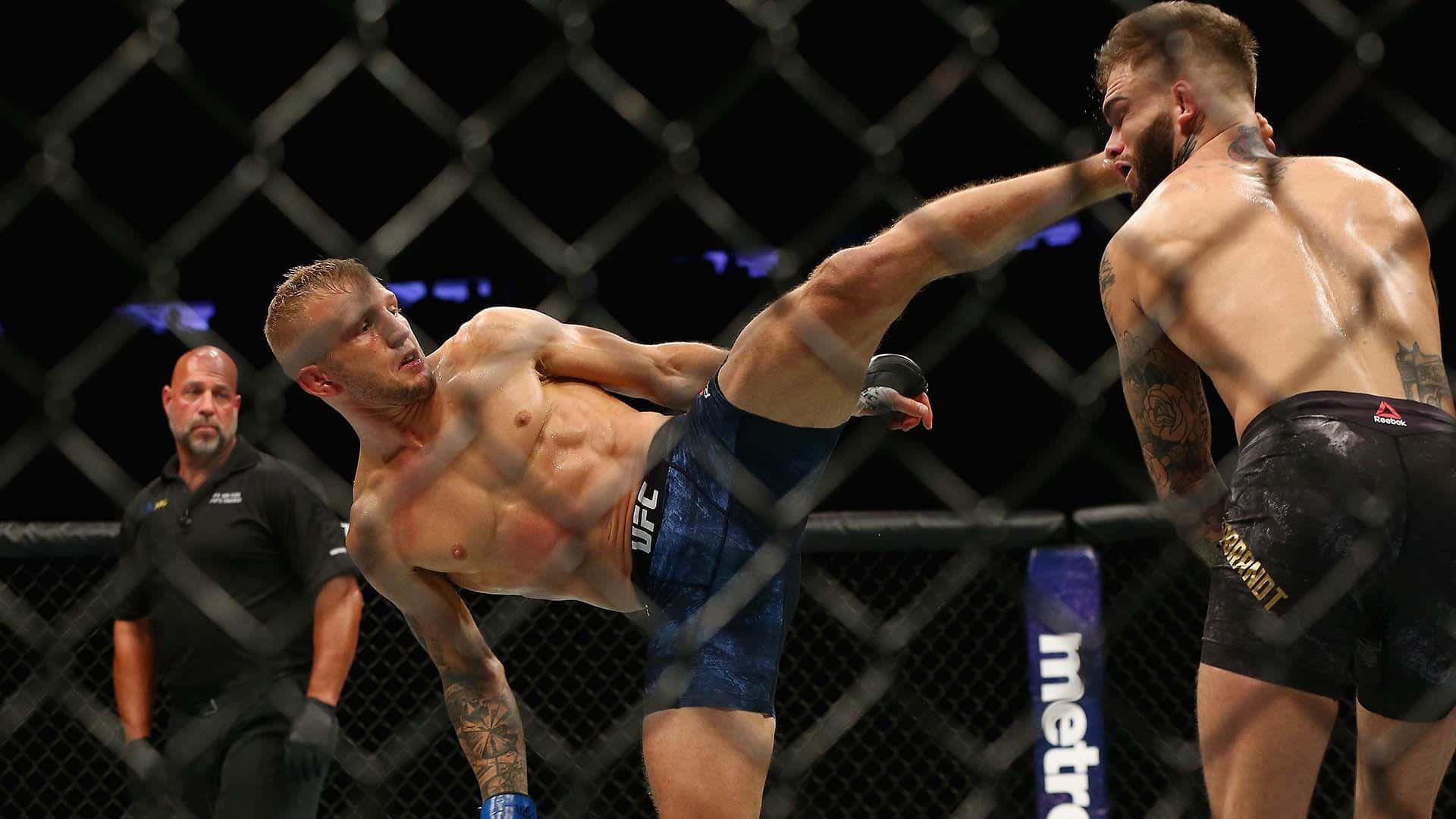 Tj Dillashaw Landing A High Kick Background