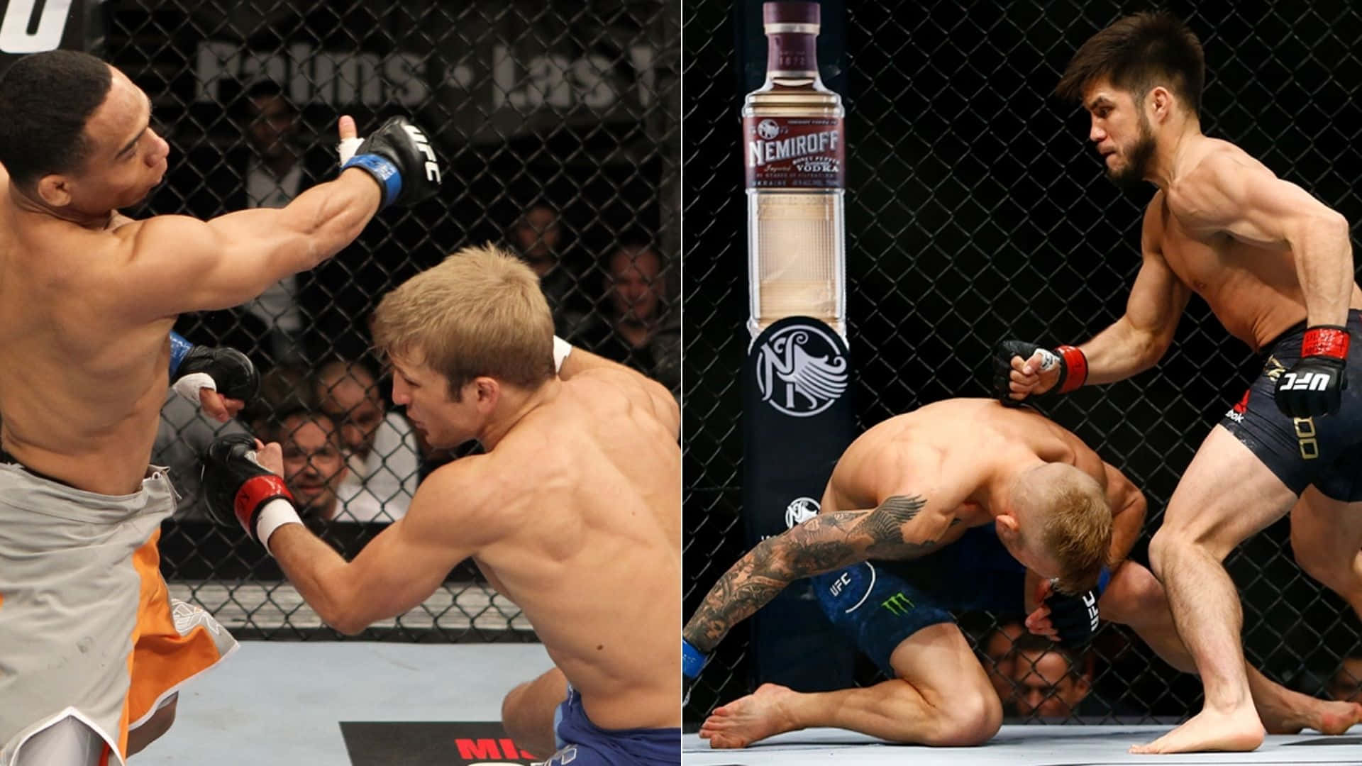 Tj Dillashaw Ufc Fighter