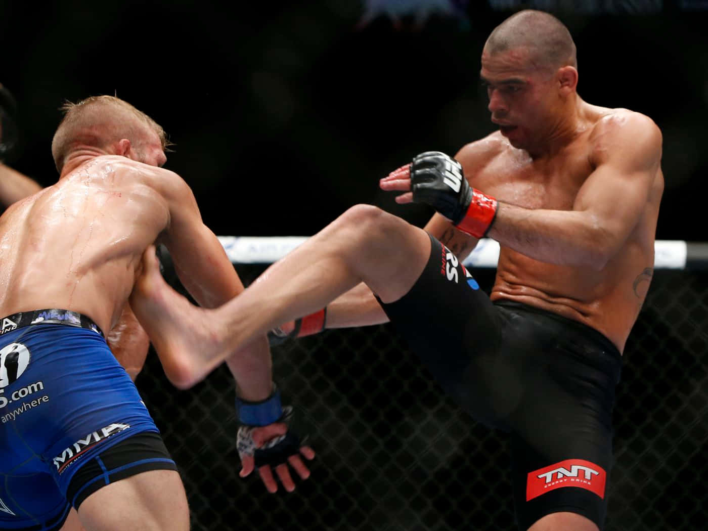 Tj Dillashaw Versus Renan Barao Ufc Fight Background