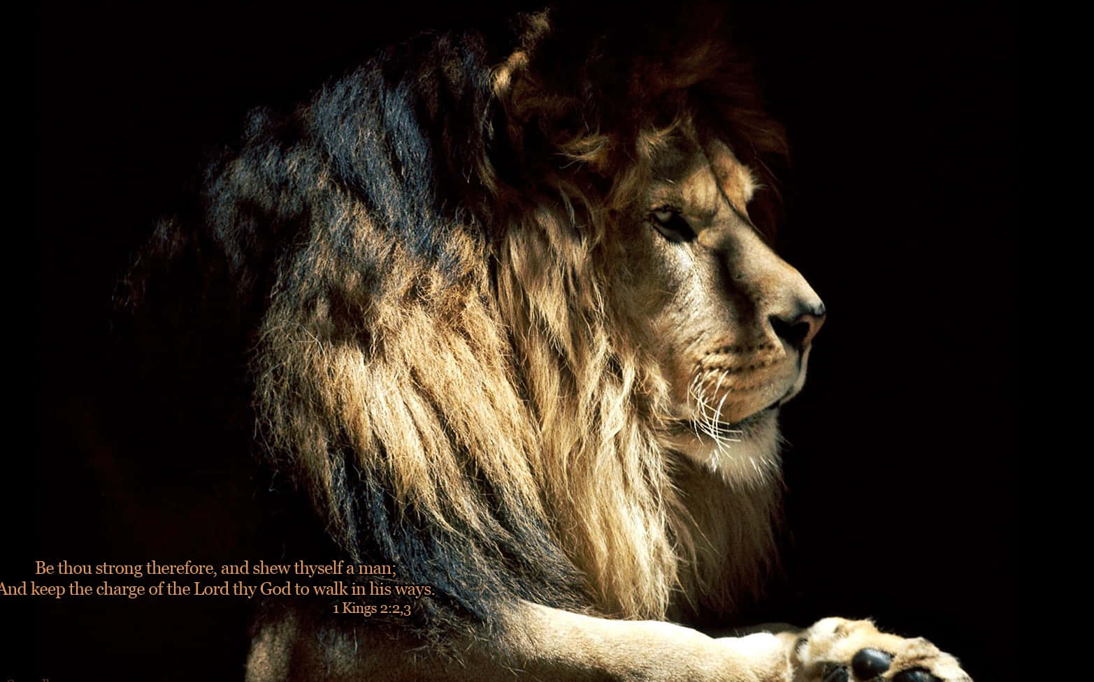 To Thine Own Self Be True Background