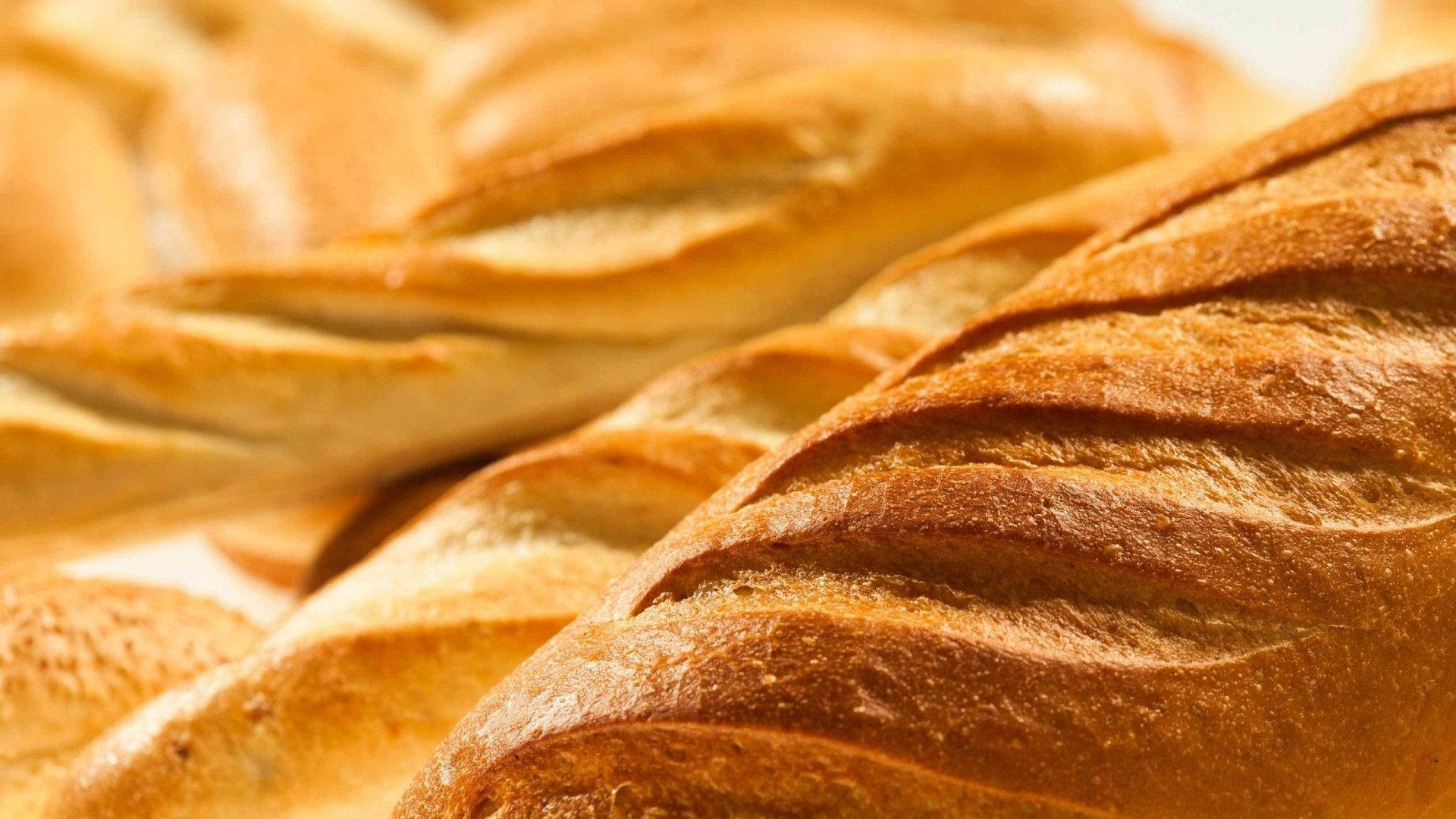 Toasted Bread Background