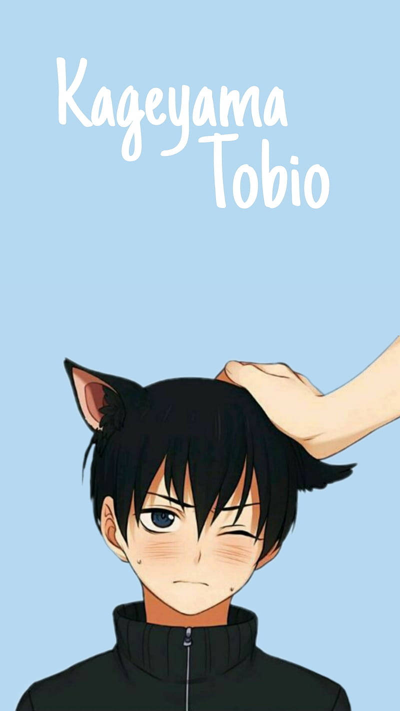 Tobio Kageyama As A Cat Background