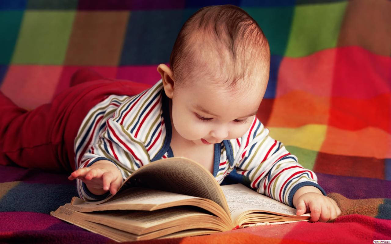 Toddler Reading Book