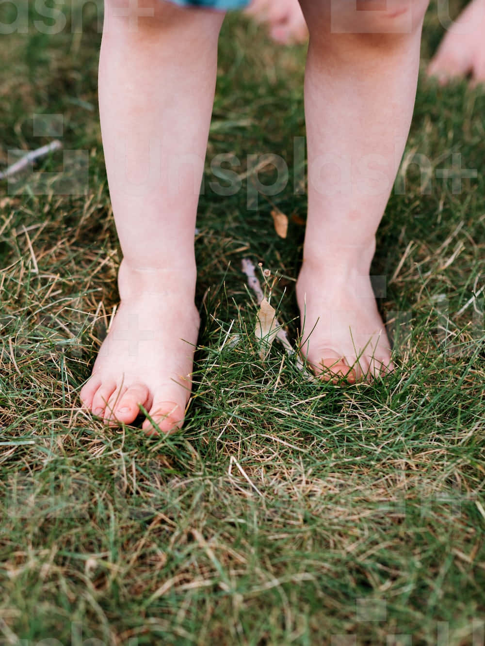 Toddler Toes On Grass Background