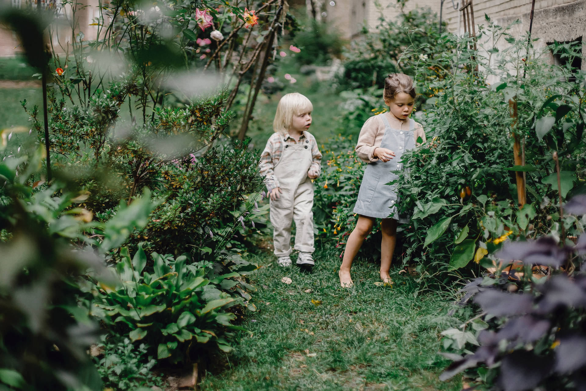 Toddlers In The Garden Background