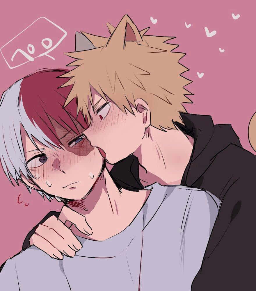 Todobaku Cat Boy My Hero Academia Background
