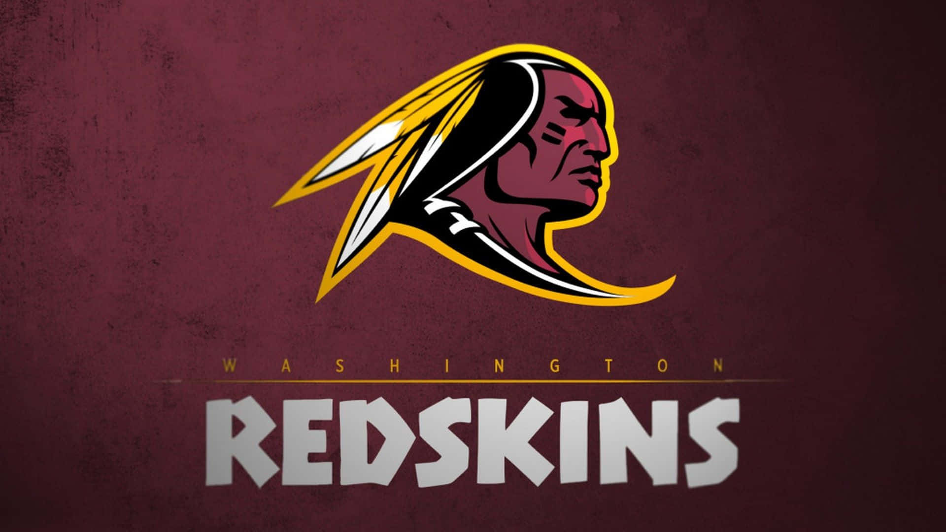 Together We Hail: Redskins Fans Support Team Background