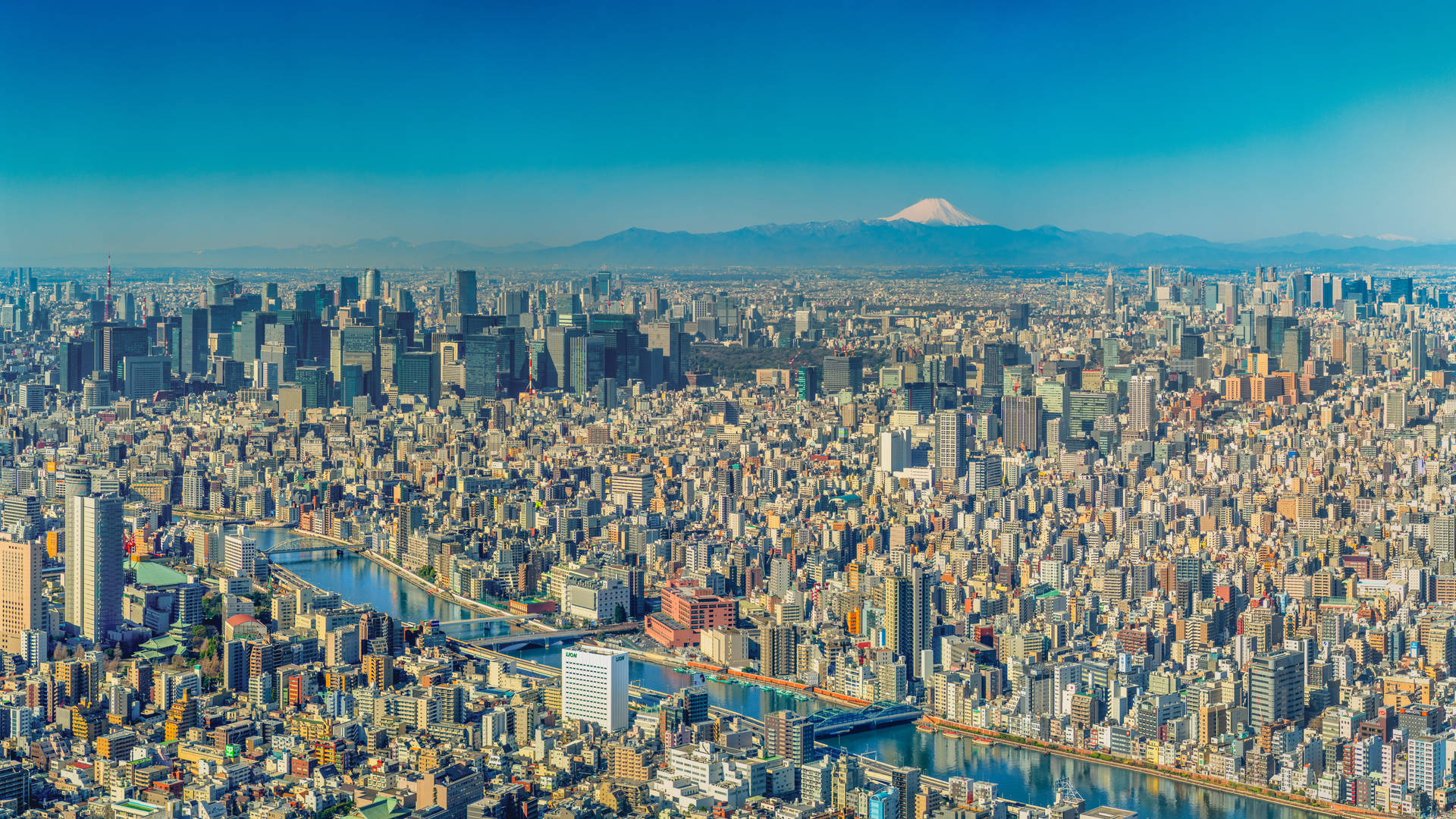 Tokyo City And Mount Fuji Background