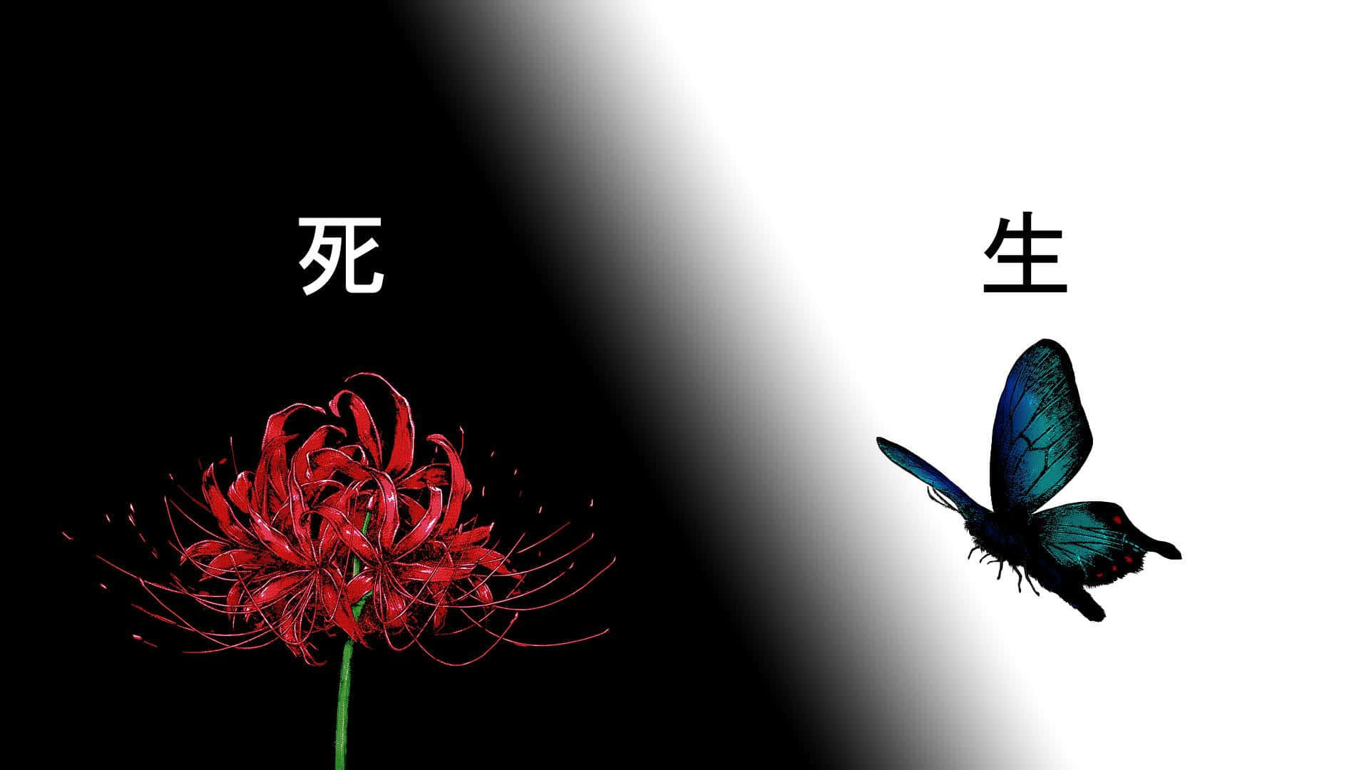Tokyo Ghoul Flower & Butterfly Background