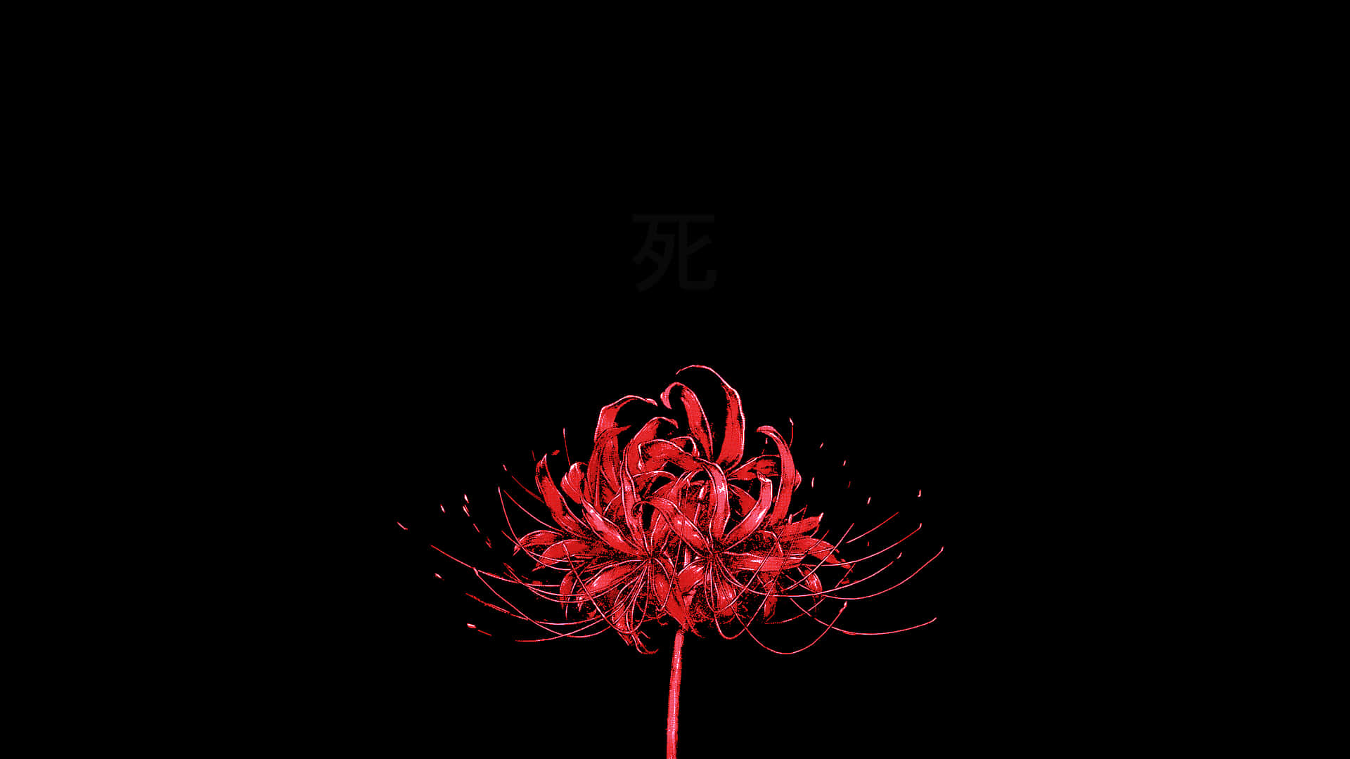 Tokyo Ghoul Flower In The Dark Background