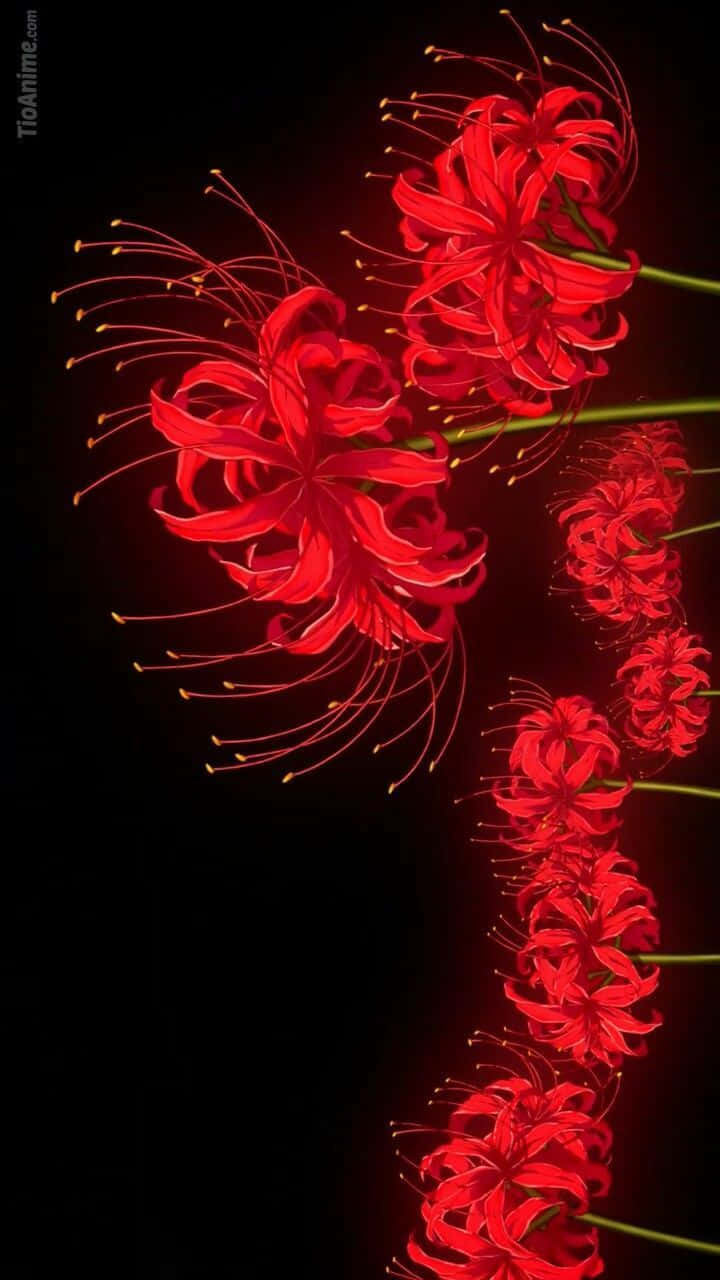 Tokyo Ghoul Flower In Vertical Background