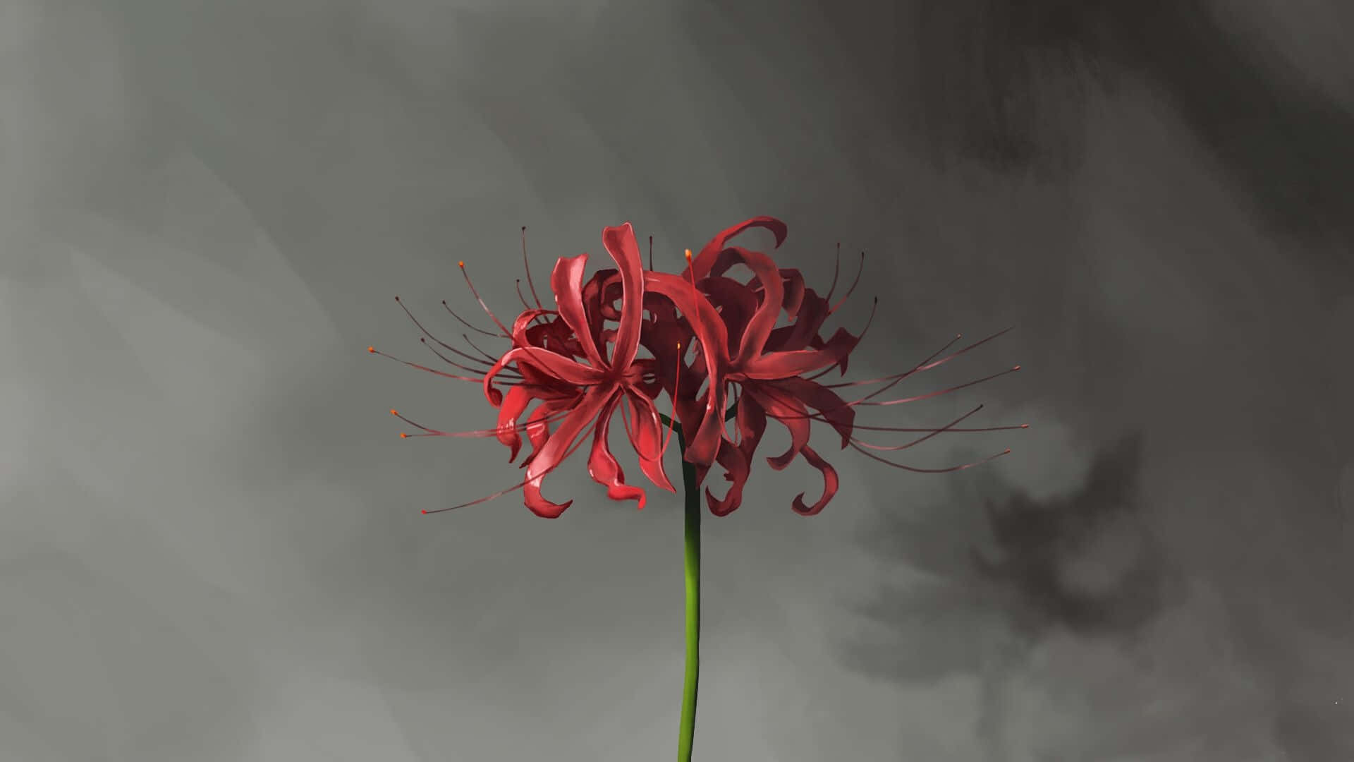 Tokyo Ghoul Flower With Shadow Background
