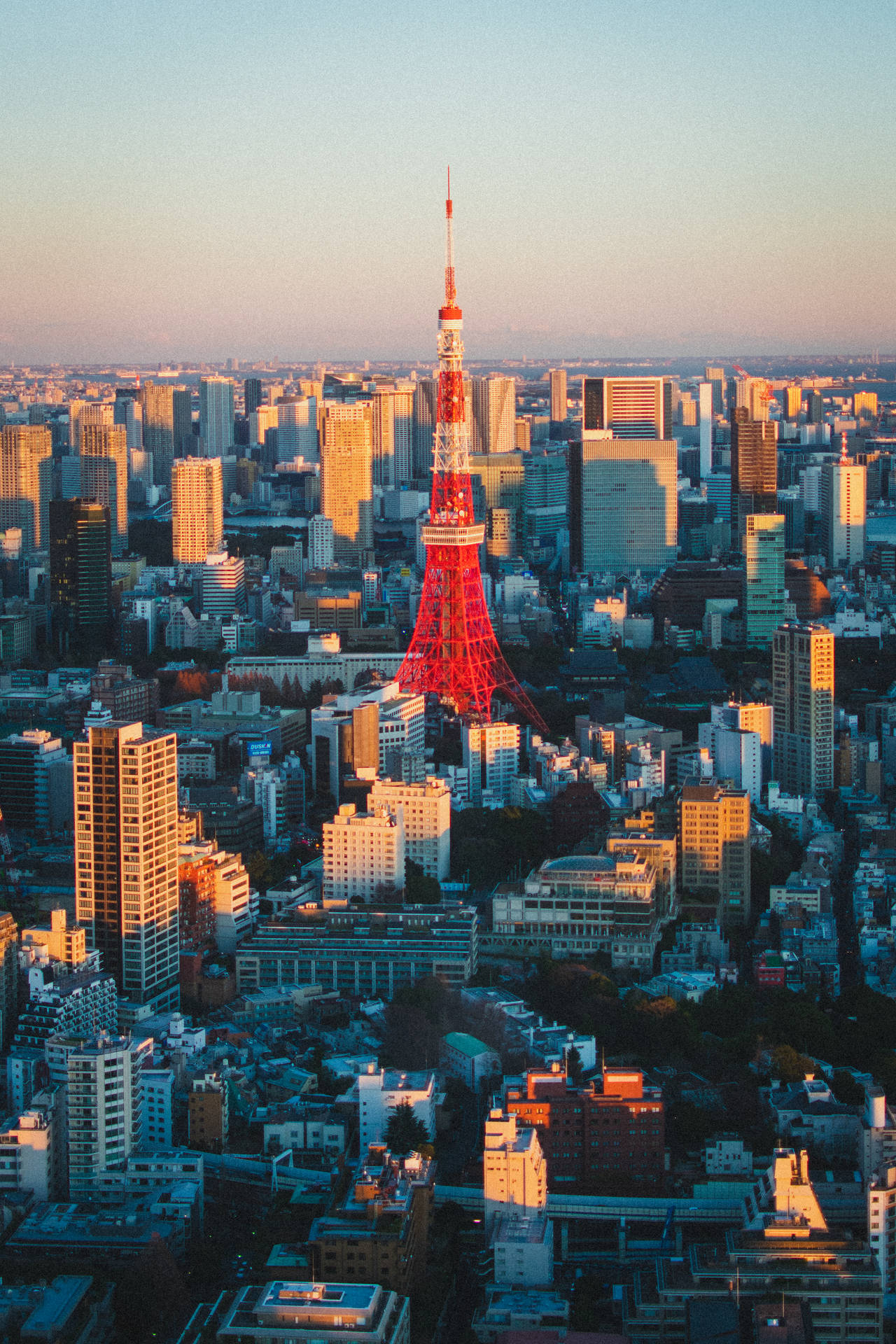 Tokyo Metropolis And Red Tokyo Tower