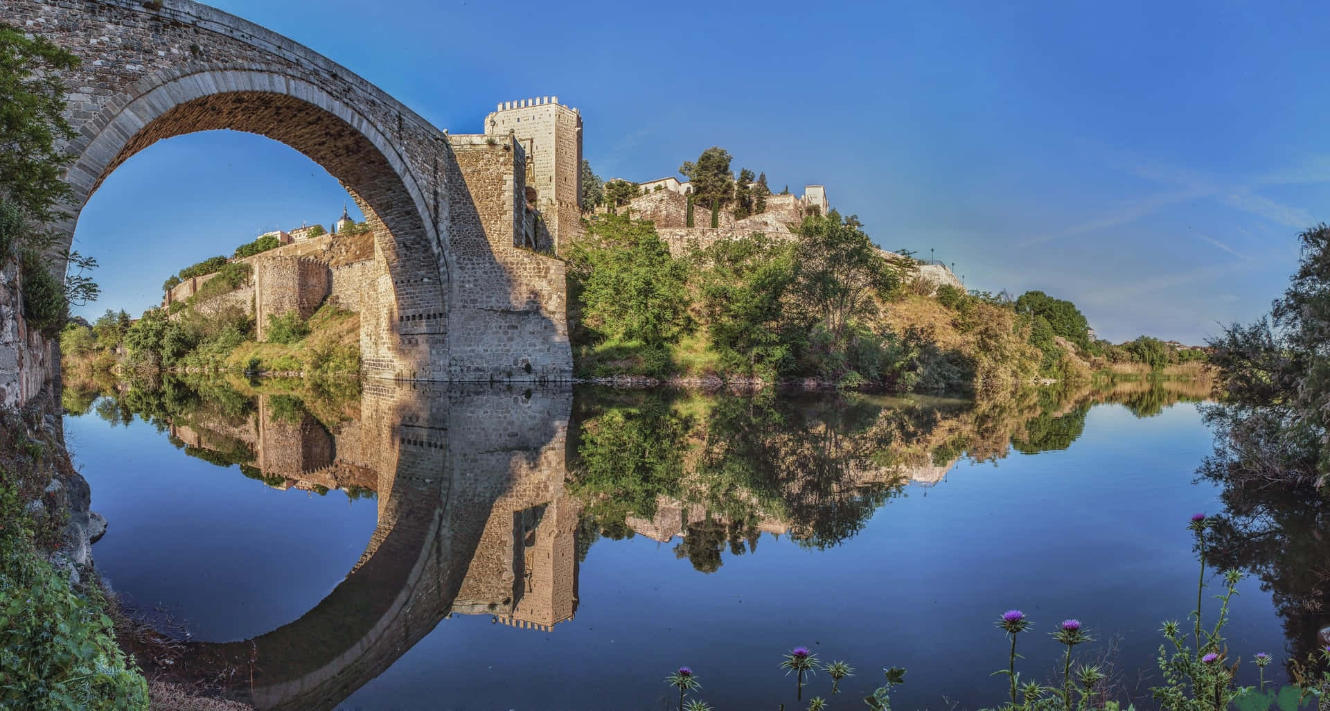 Toledo Cathedral Reflected In The Water