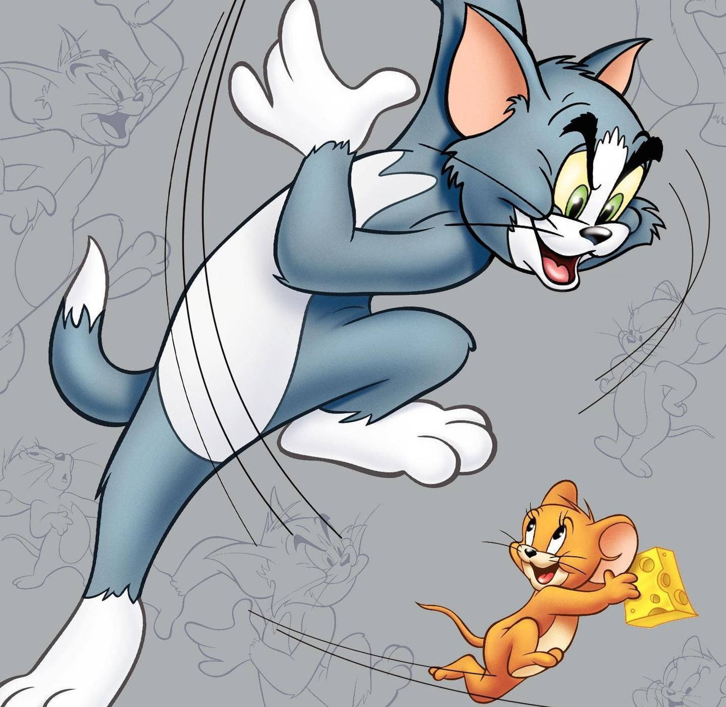 Tom And Jerry Cartoon Chase Art