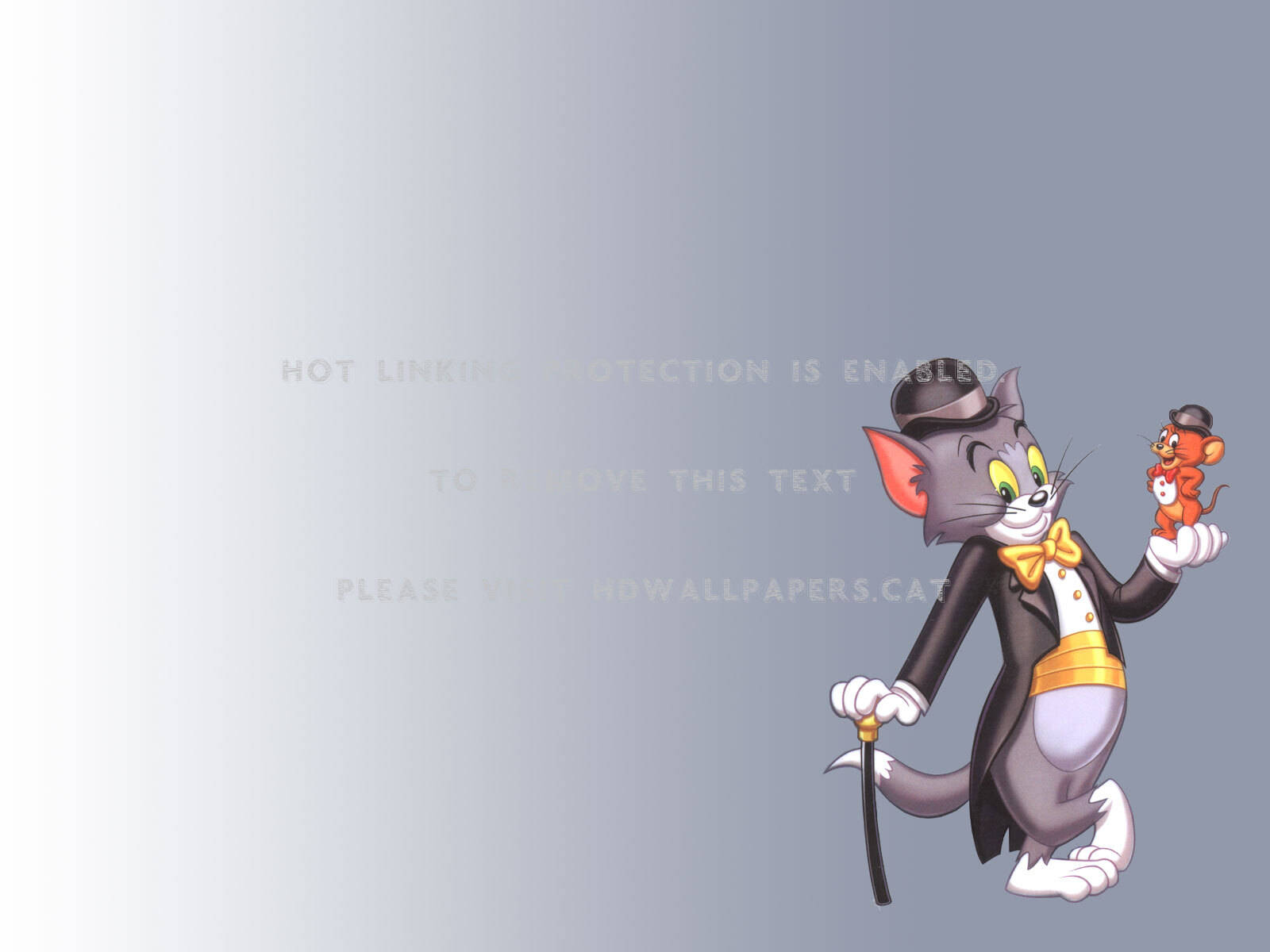 Tom And Jerry Cartoon Poster Background