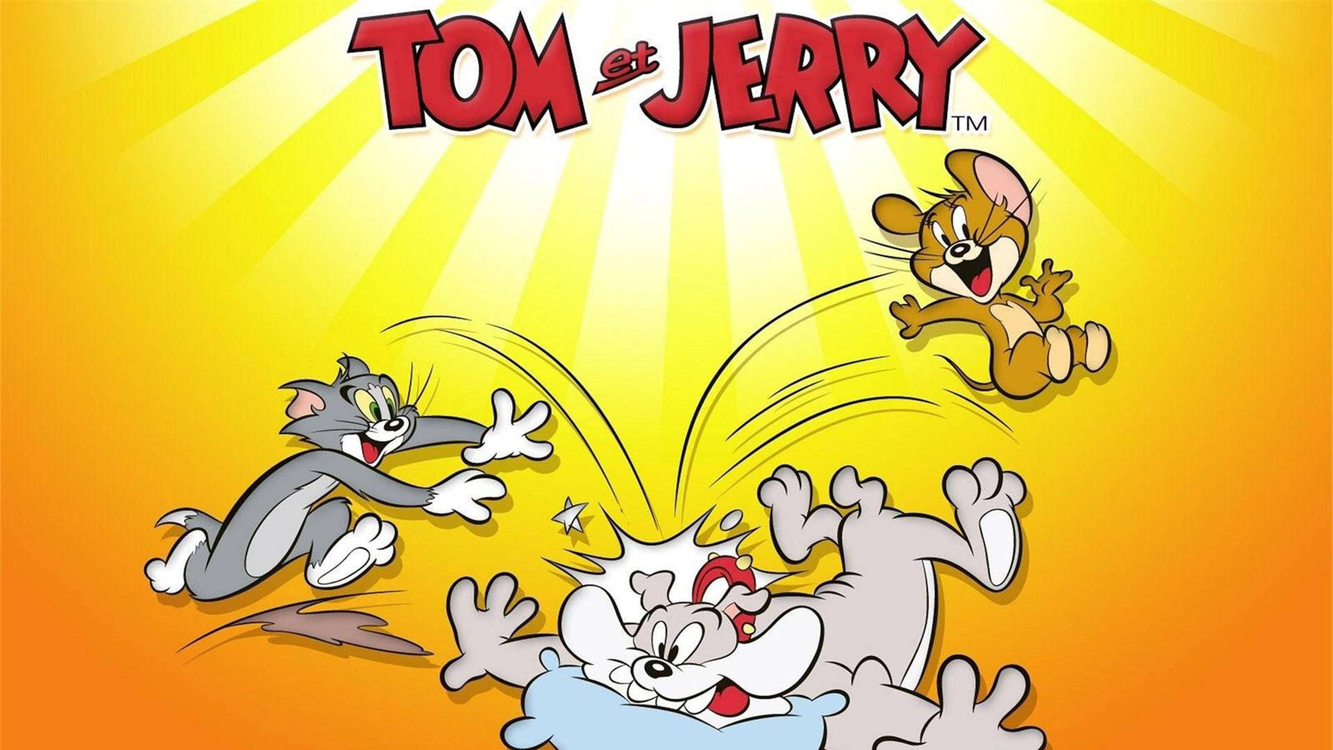 Tom And Jerry Cute Chase