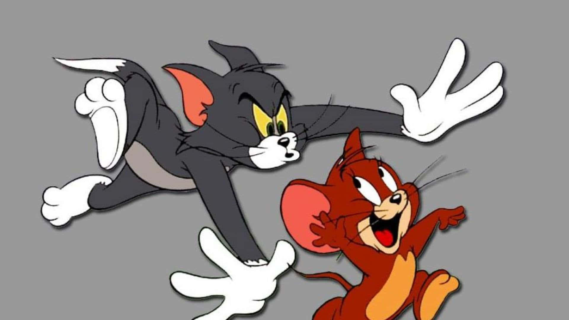 Tom And Jerry In An Uproarious Fight! Background