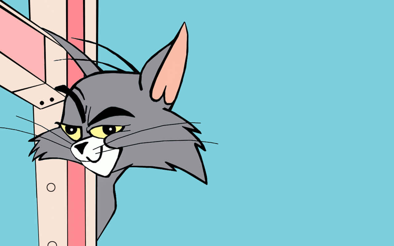 Tom And Jerry Make A Funny Face. Background