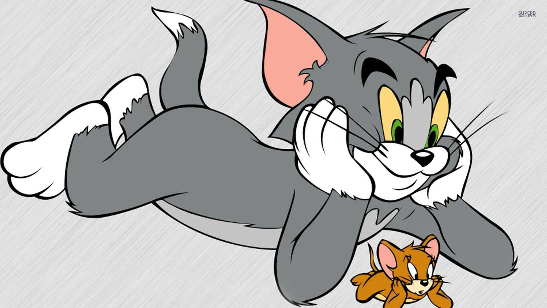 Tom Cat And Jerry Mouse Background