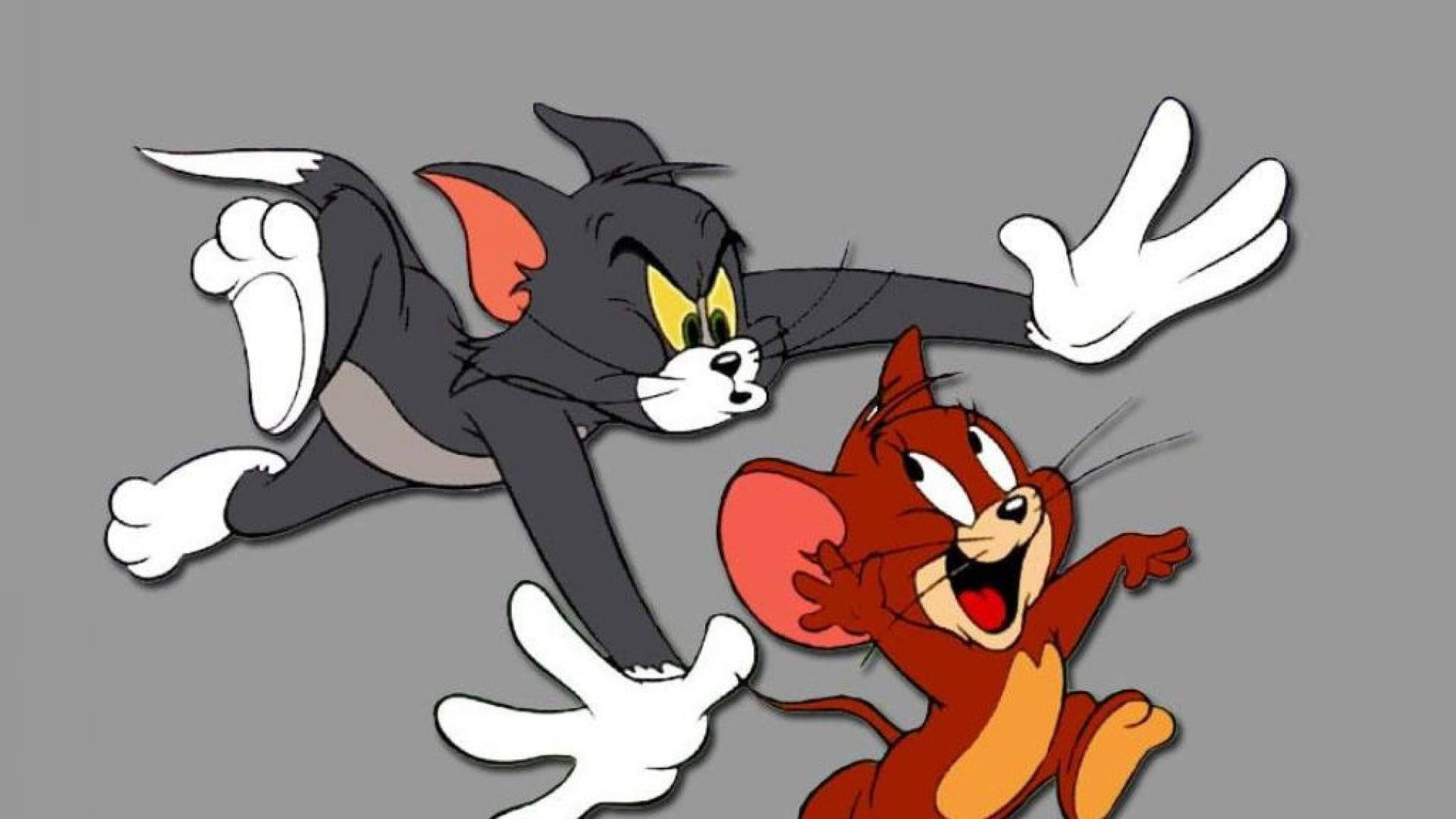 Tom Cat And Jerry Playing Together