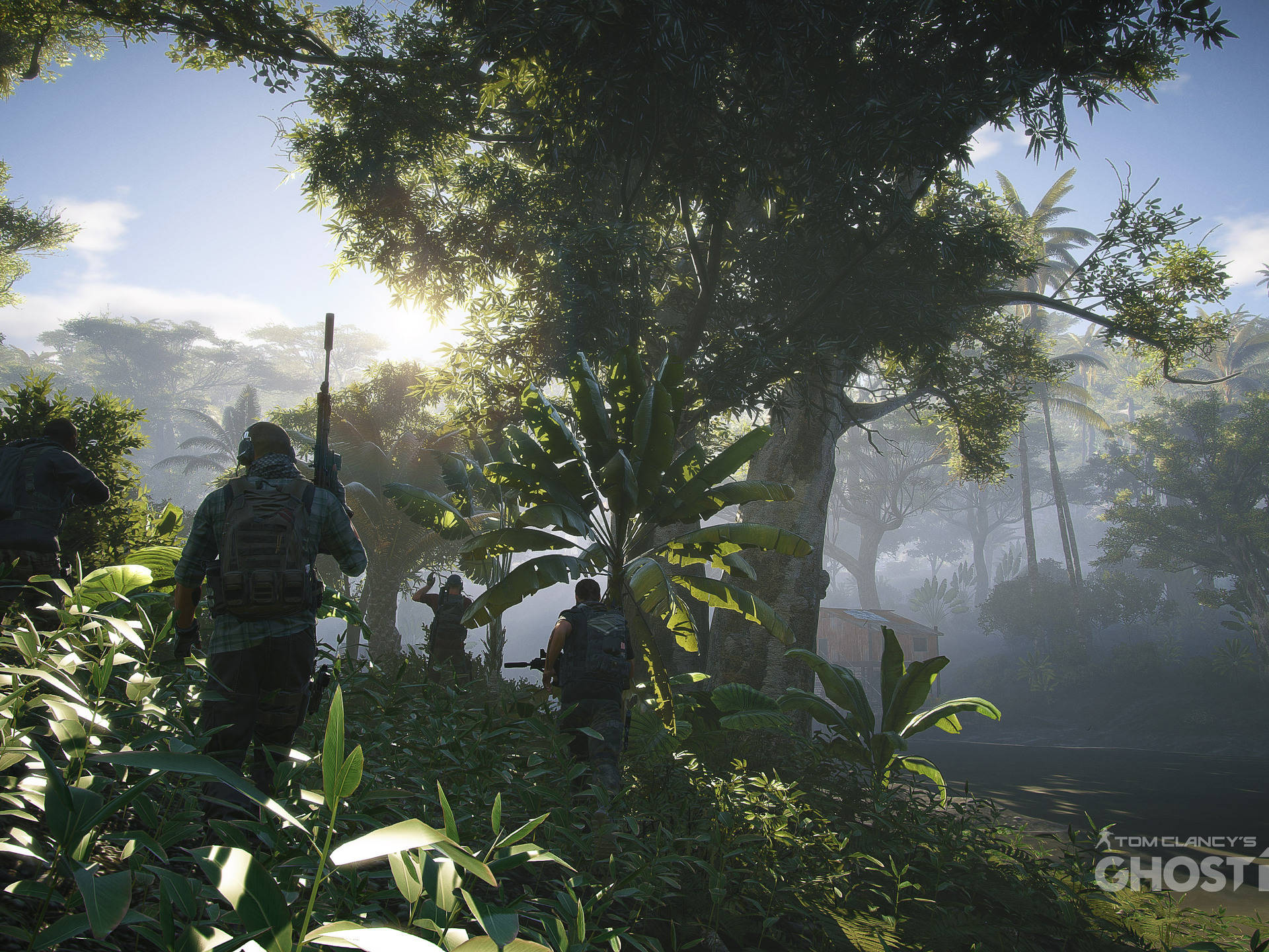 Tom Clancy's Ghost Recon Wildlands Forest Background