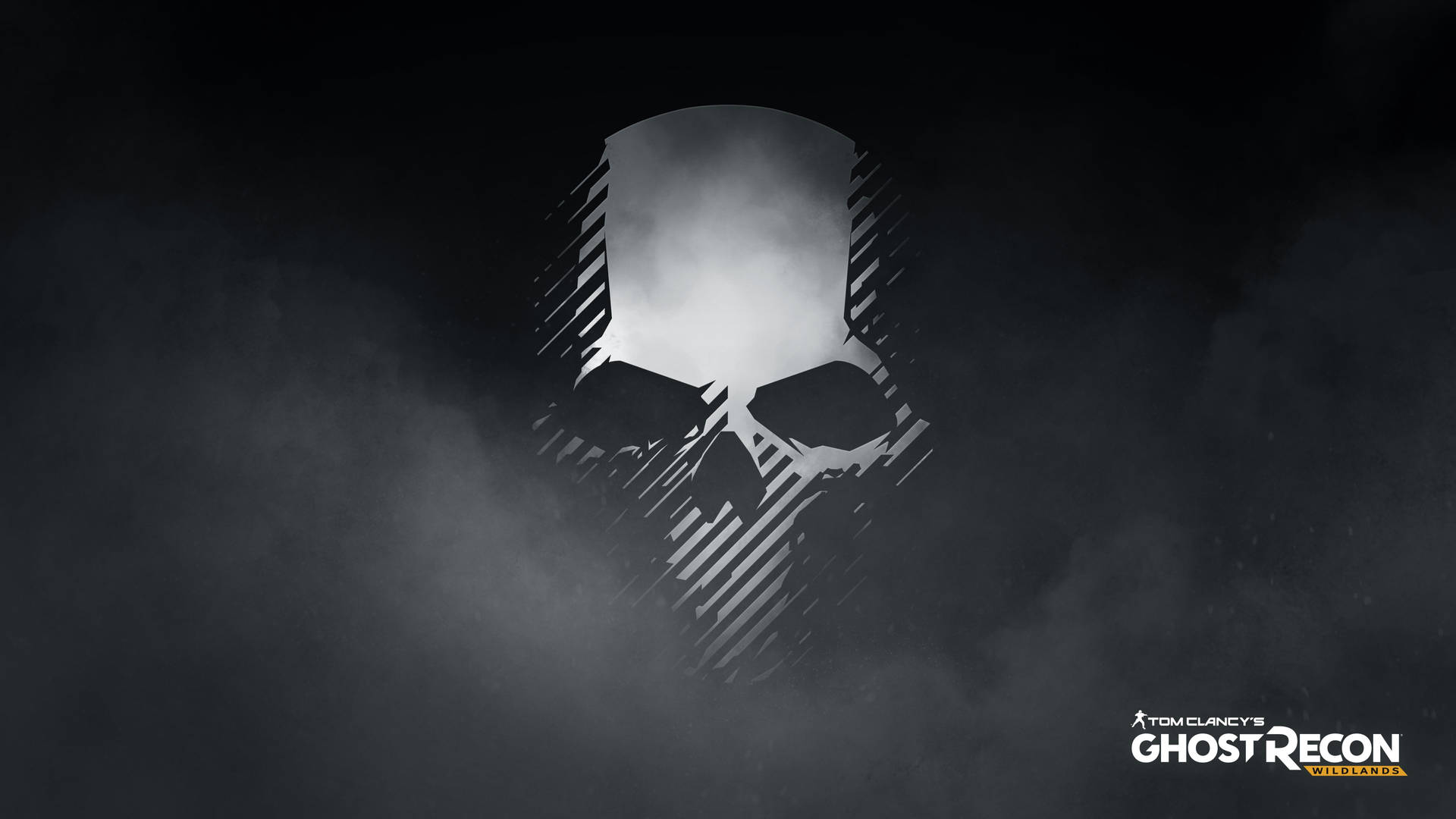 Tom Clancy's Ghost Recon Wildlands Skull Art Background