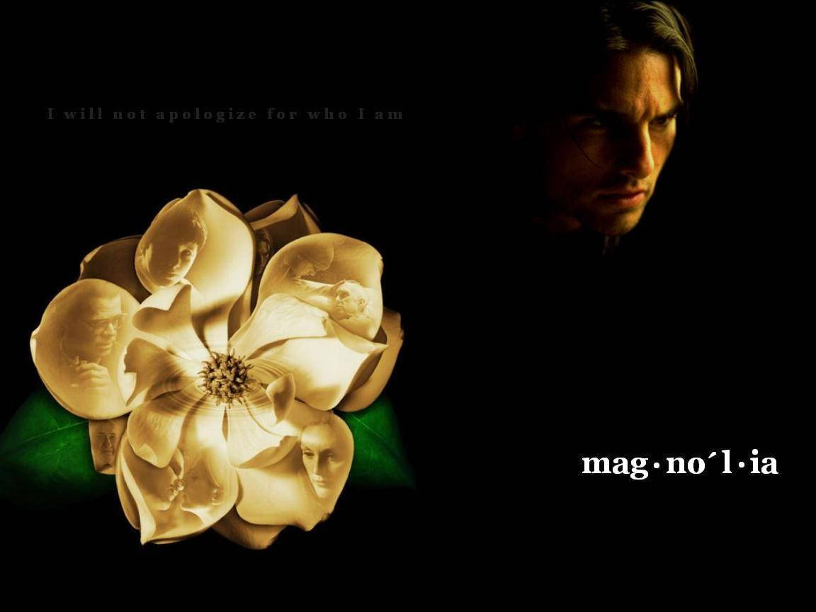 Tom Cruise Main Character Magnolia Film