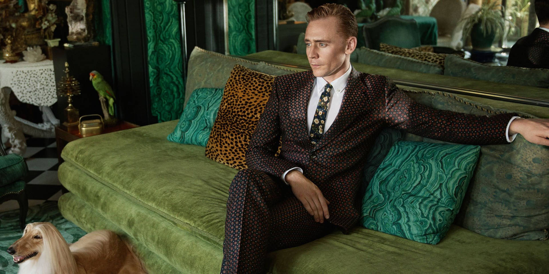 Tom Hiddleston For Gucci Background