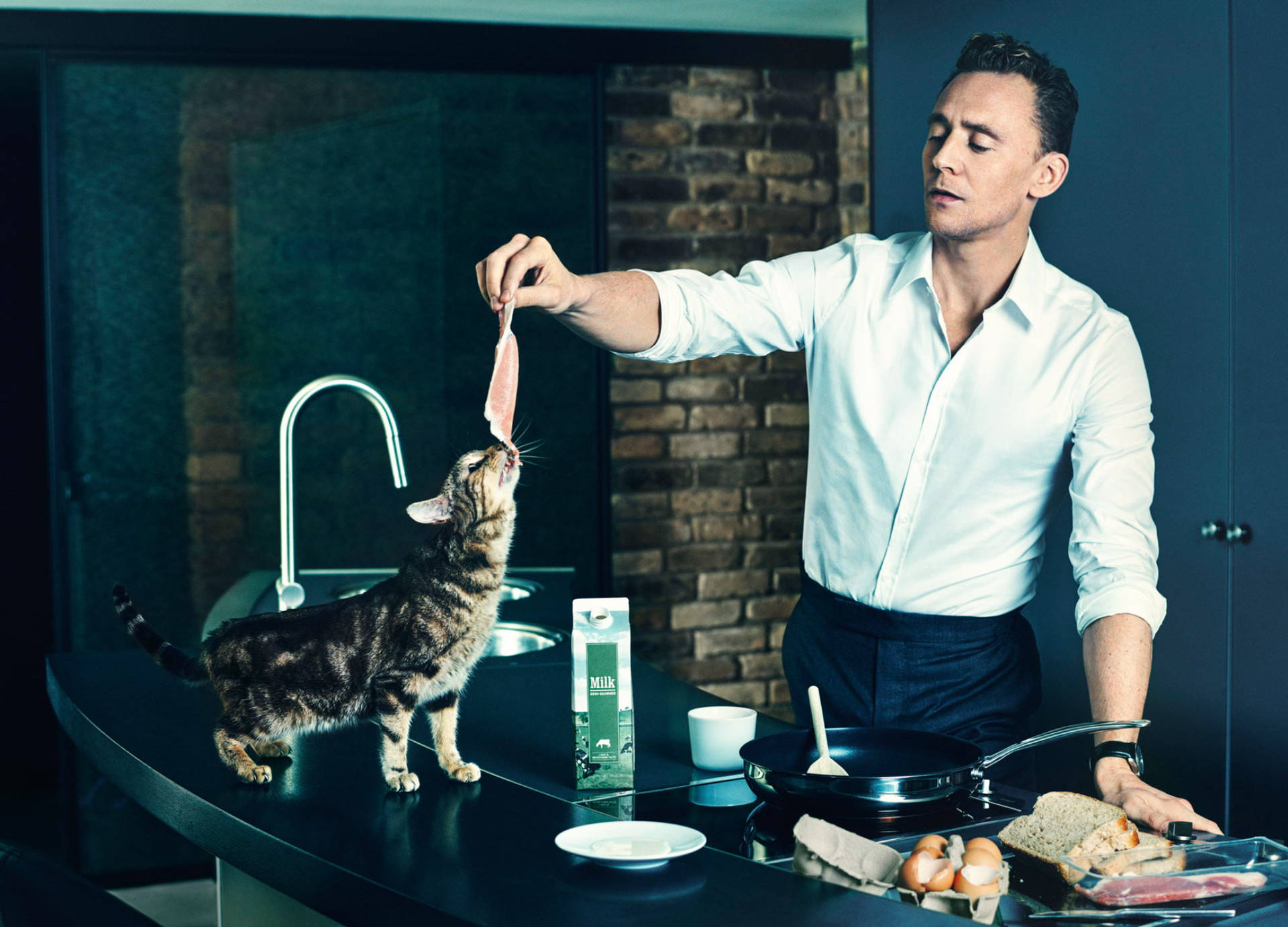 Tom Hiddleston With A Cat Background