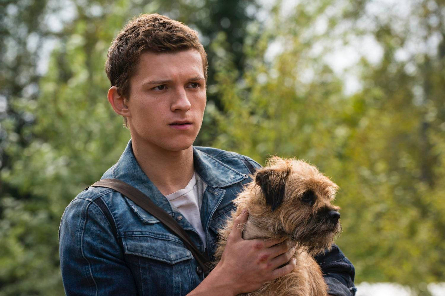Tom Holland With Cute Puppy Background
