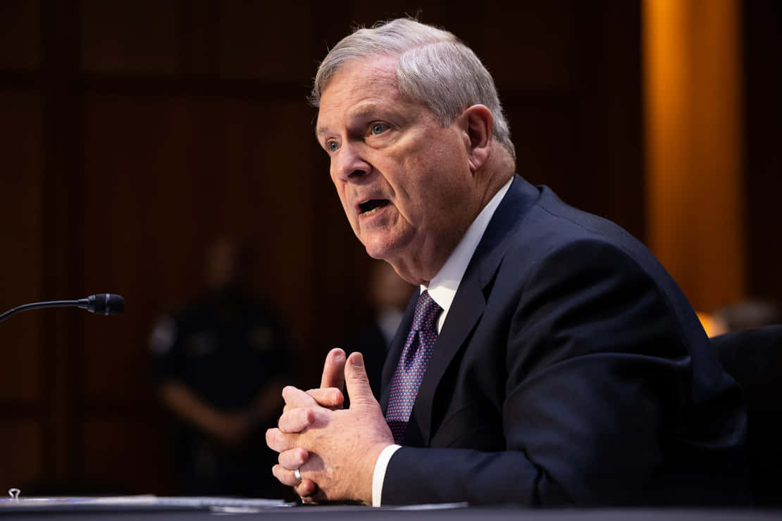 Tom Vilsack Fingers Entwined Background